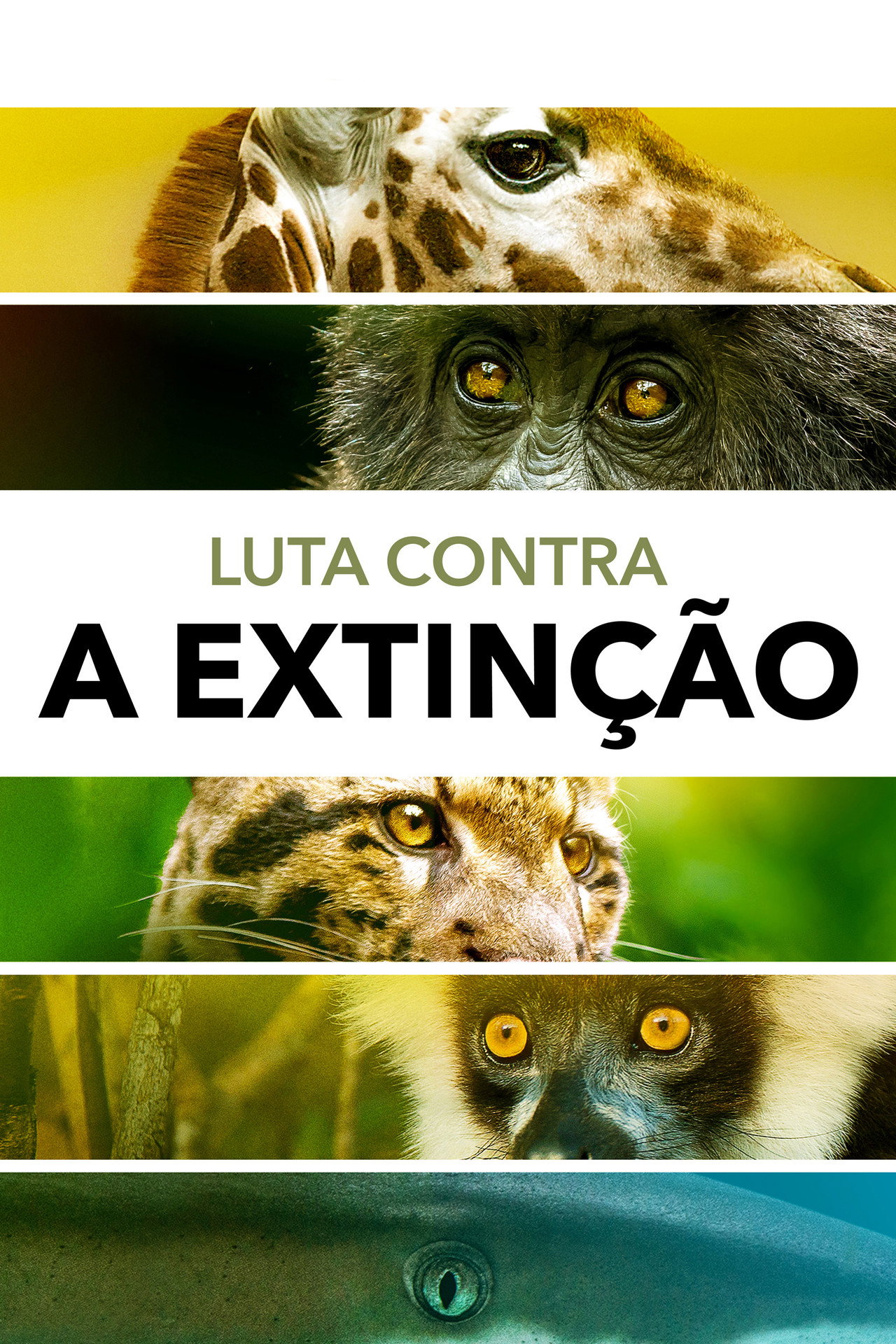 Pôster de Luta Contra a Extinção