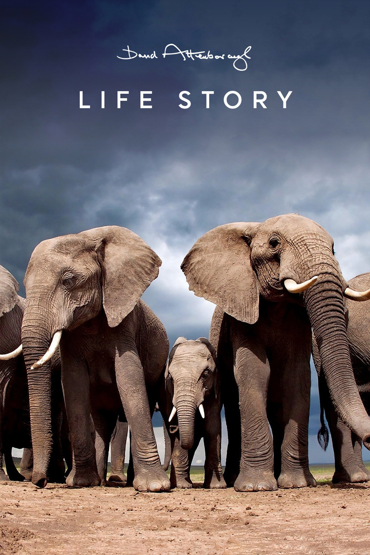 Pôster de Life Story
