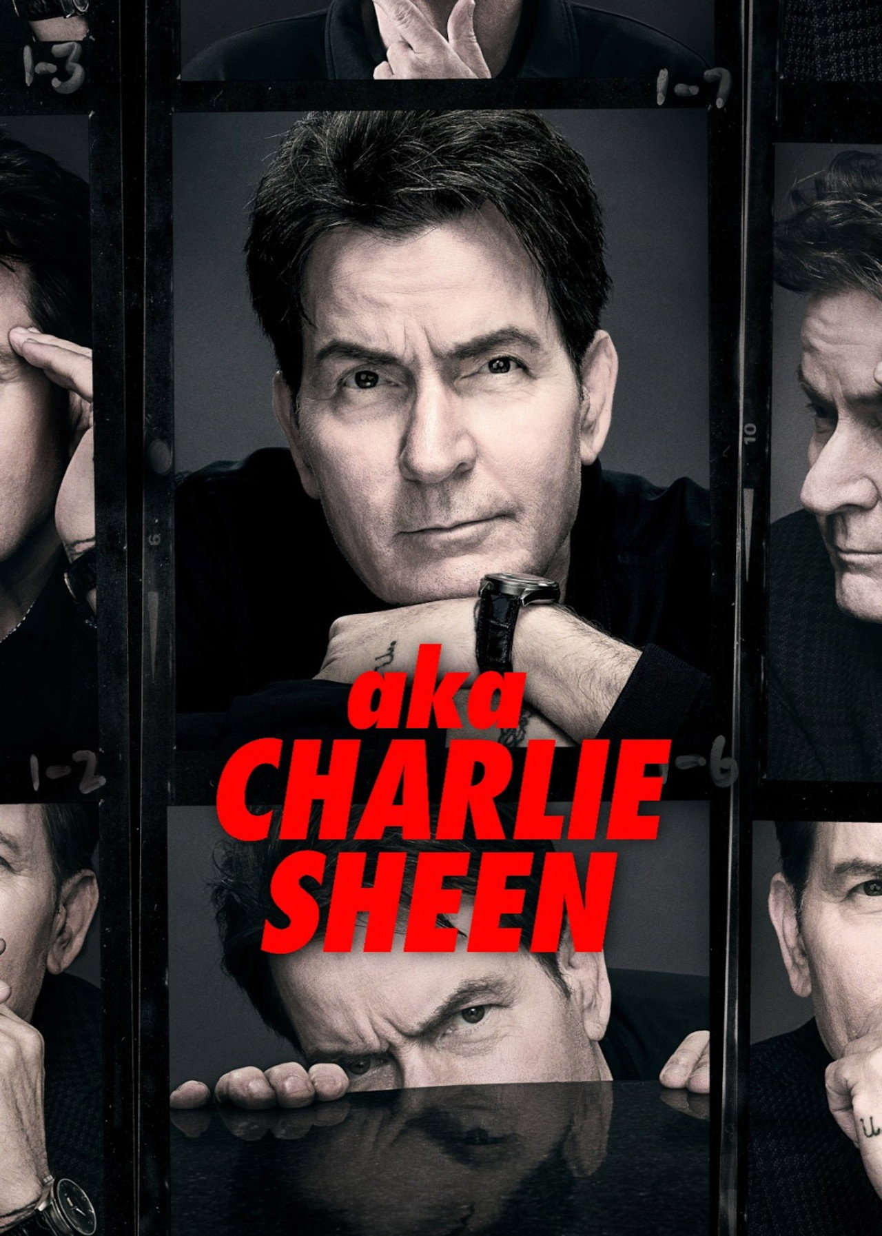 Pôster de aka Charlie Sheen