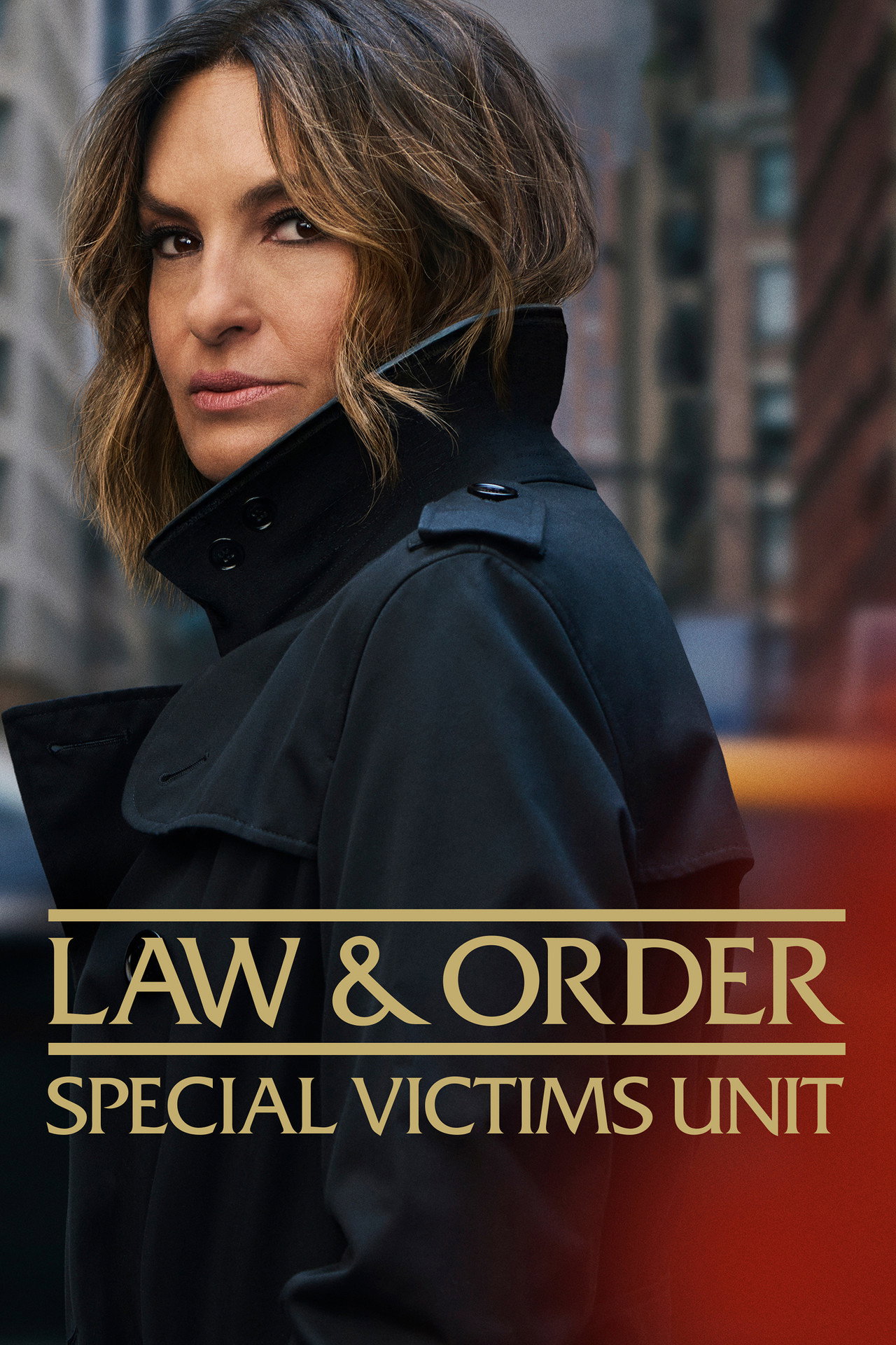 Pôster de Law & Order: Special Victims Unit