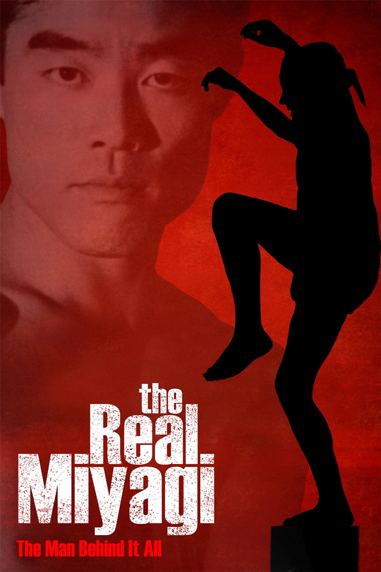 Pôster de The Real Miyagi