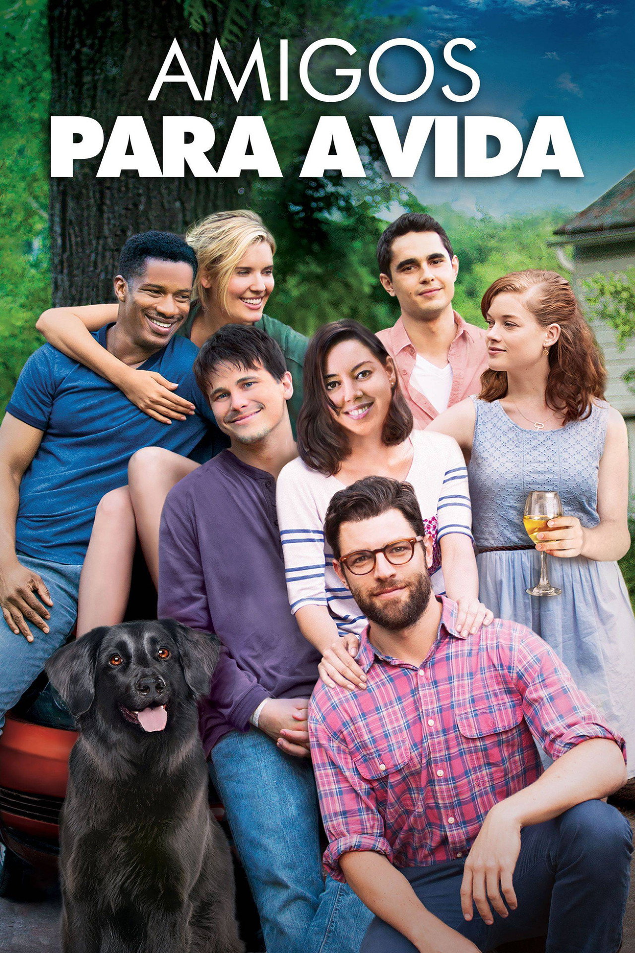 Pôster de Amigos Para a Vida