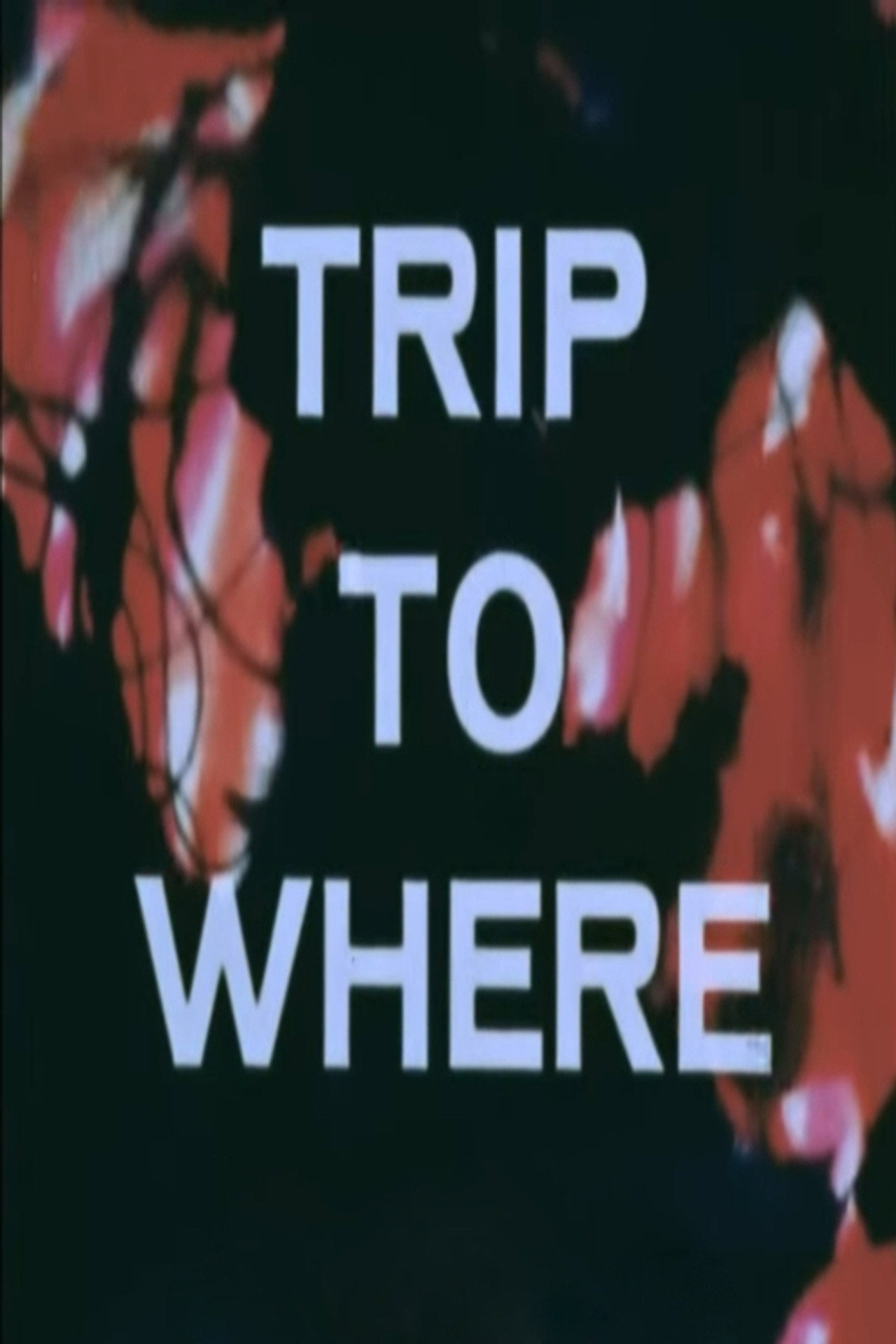 Pôster de LSD: Trip to Where?