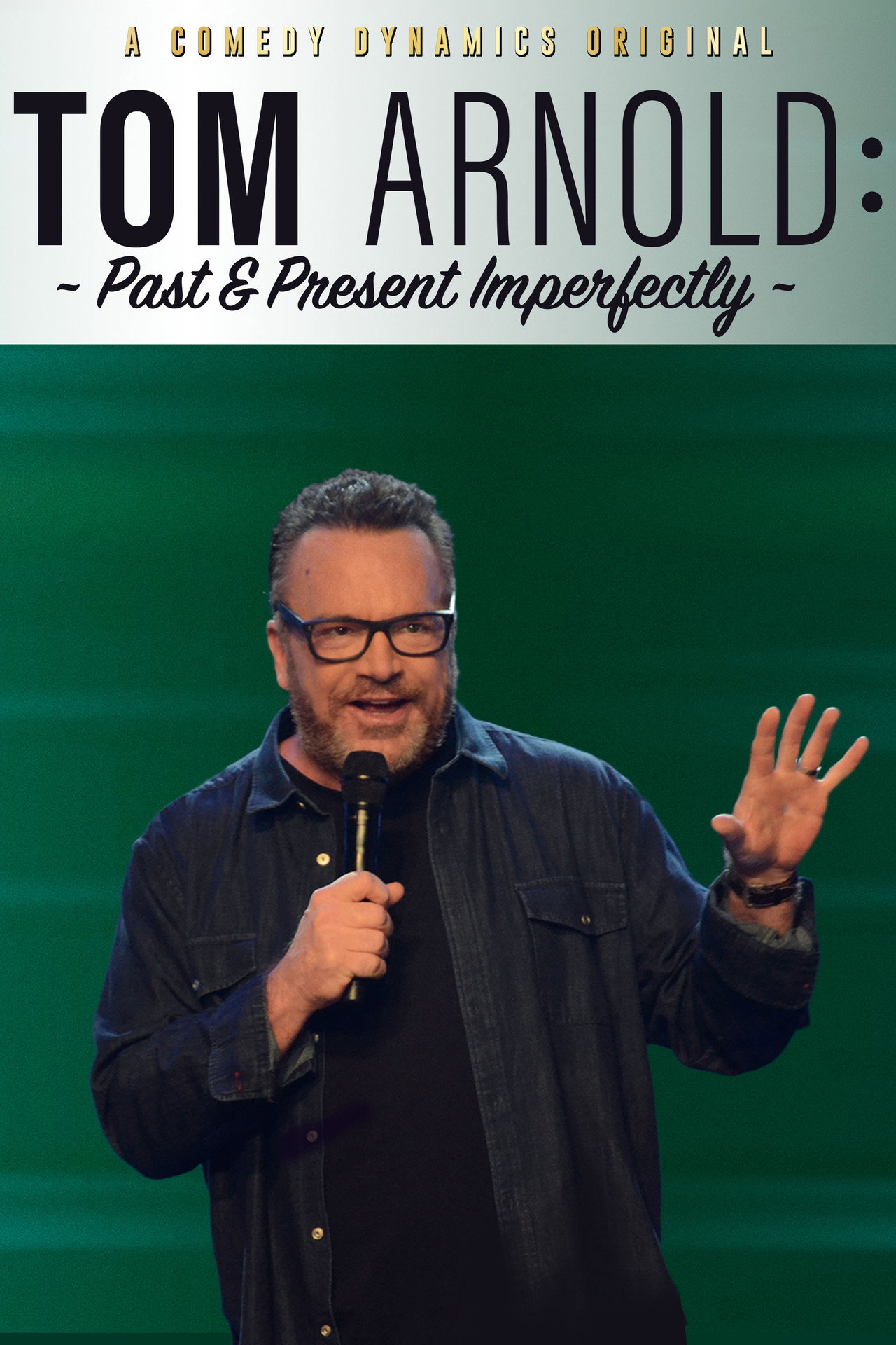 Pôster de Tom Arnold: Past & Present Imperfectly