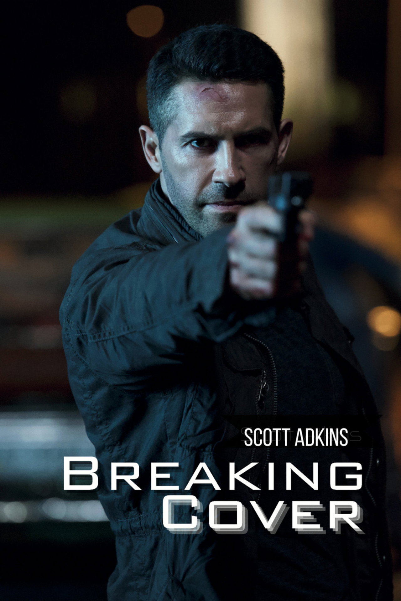 Pôster de Breaking Cover