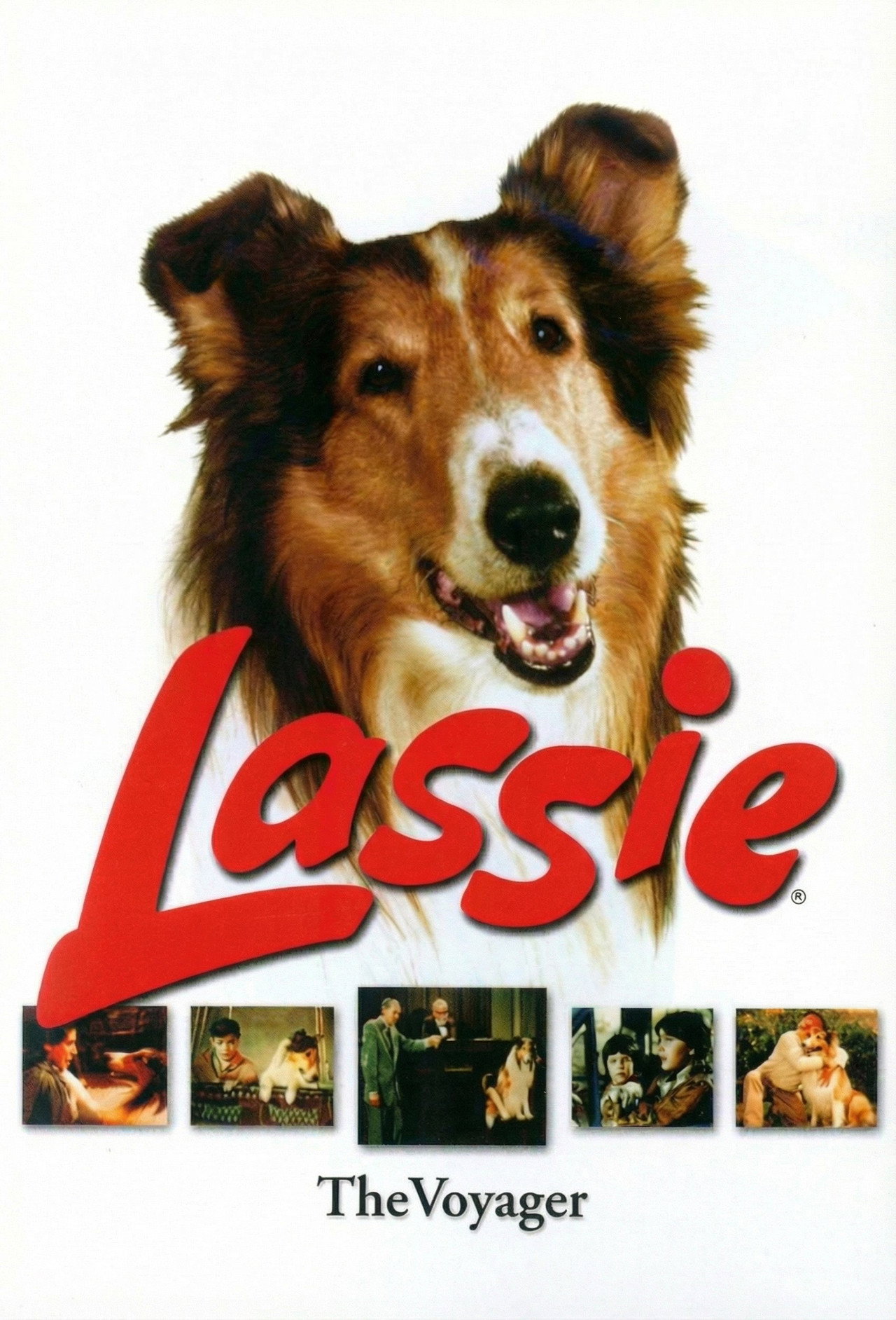 Pôster de Lassie, the Voyager