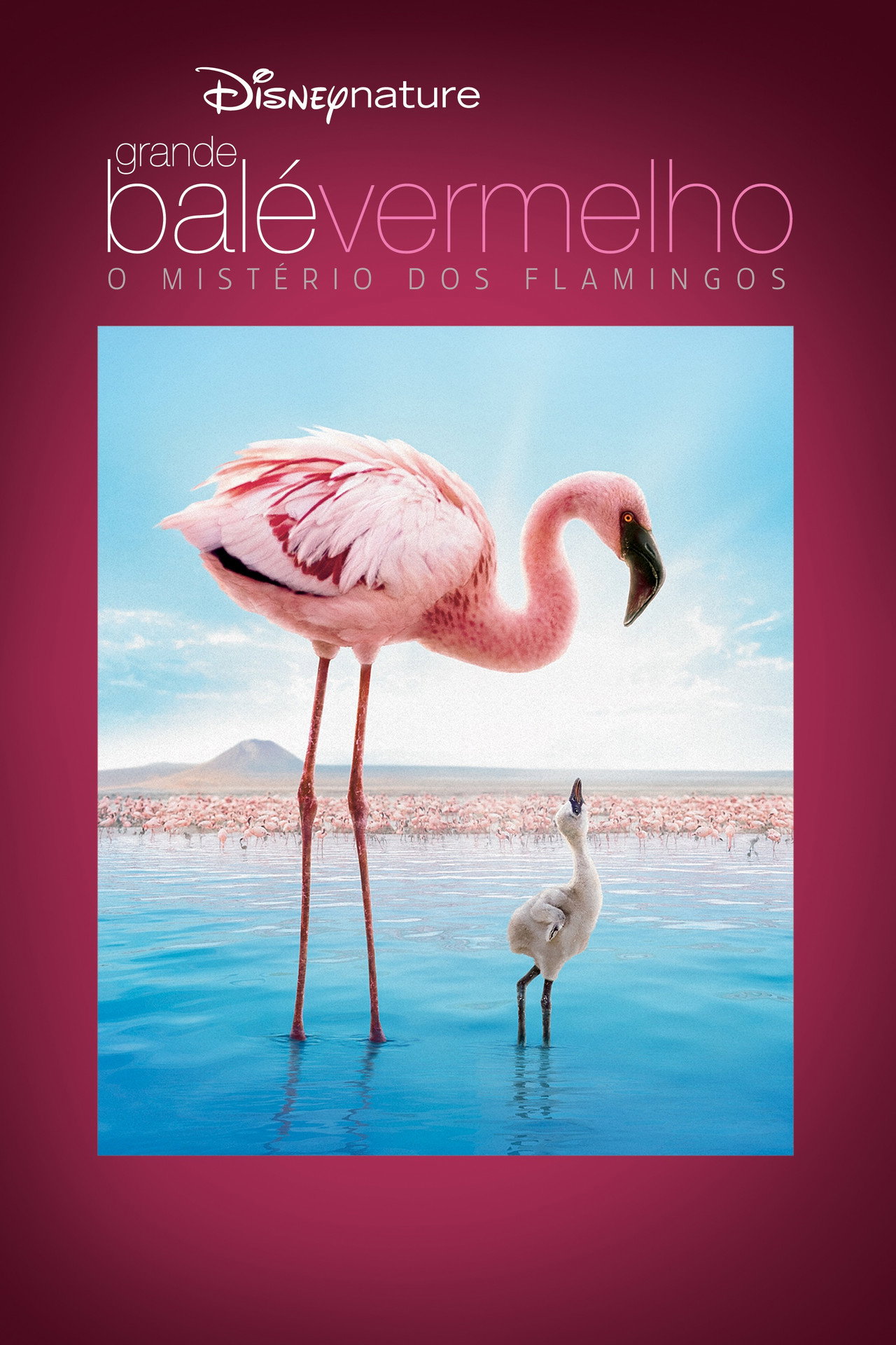 Pôster de Grande Balé Vermelho: O Mistério dos Flamingos