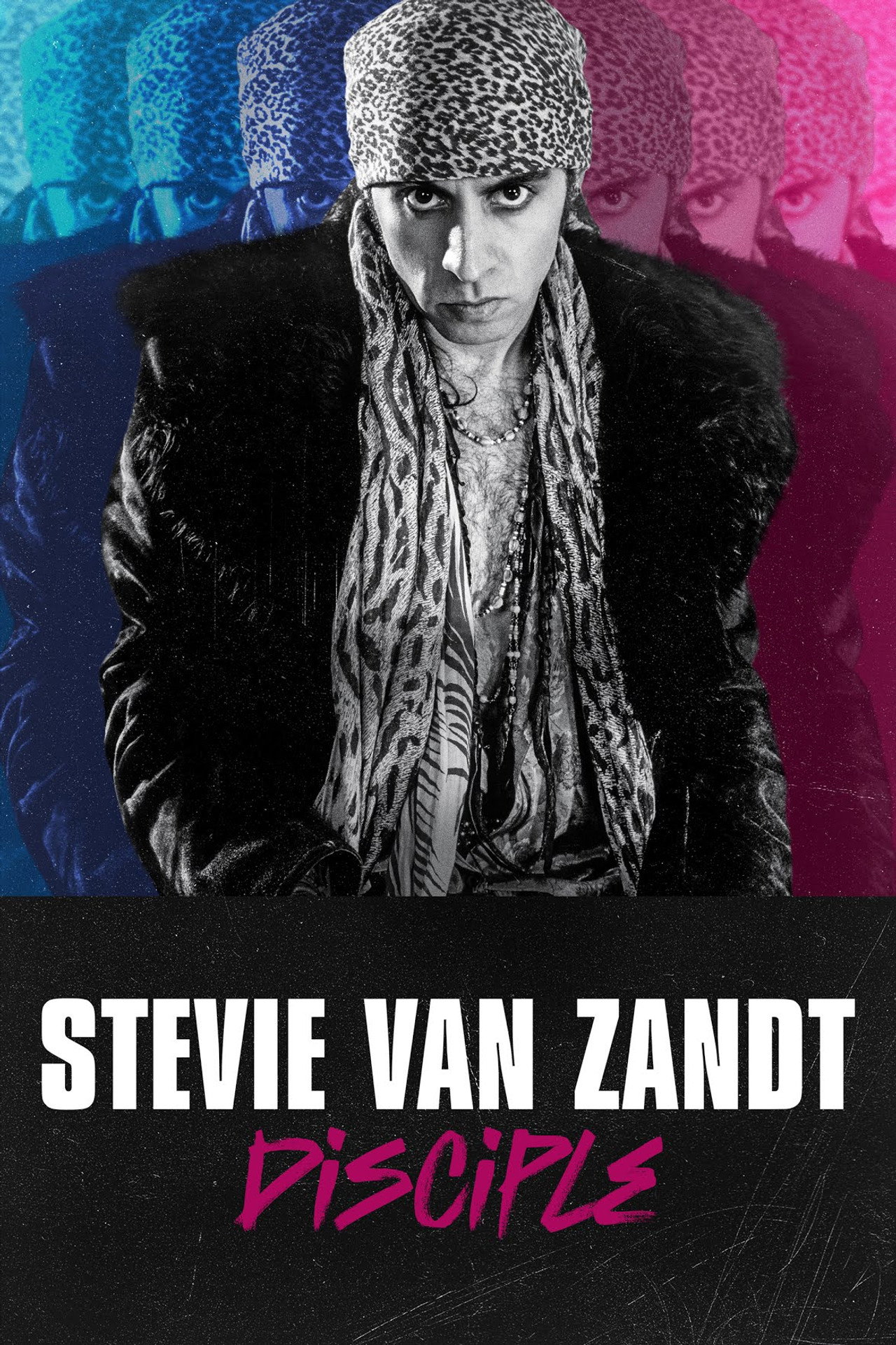 Pôster de Stevie Van Zandt: Disciple