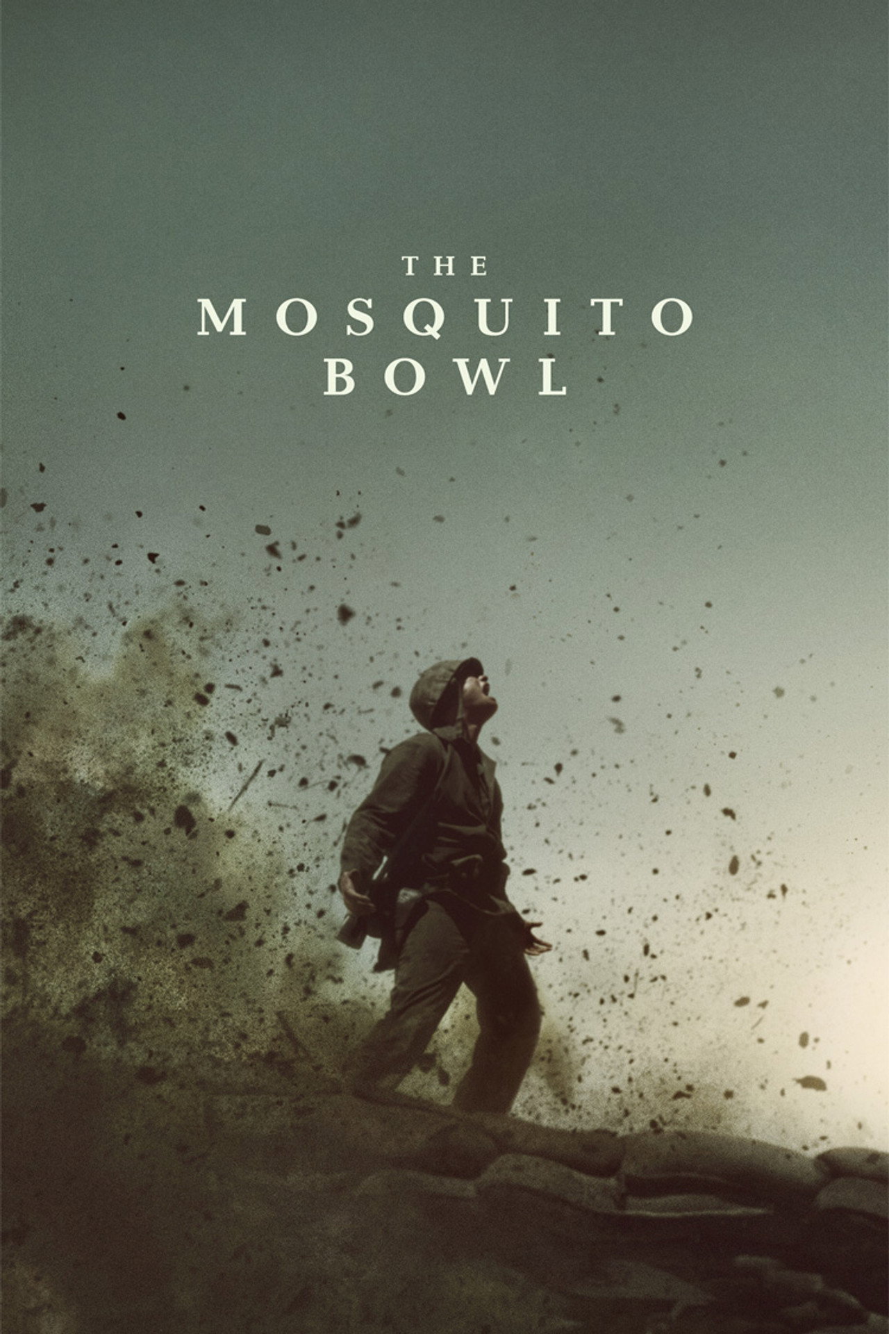 Pôster de The Mosquito Bowl