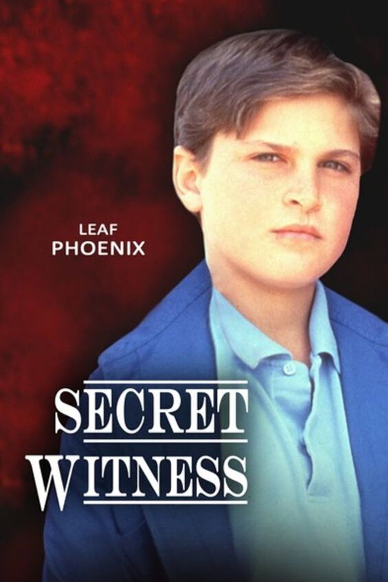 Pôster de Secret Witness