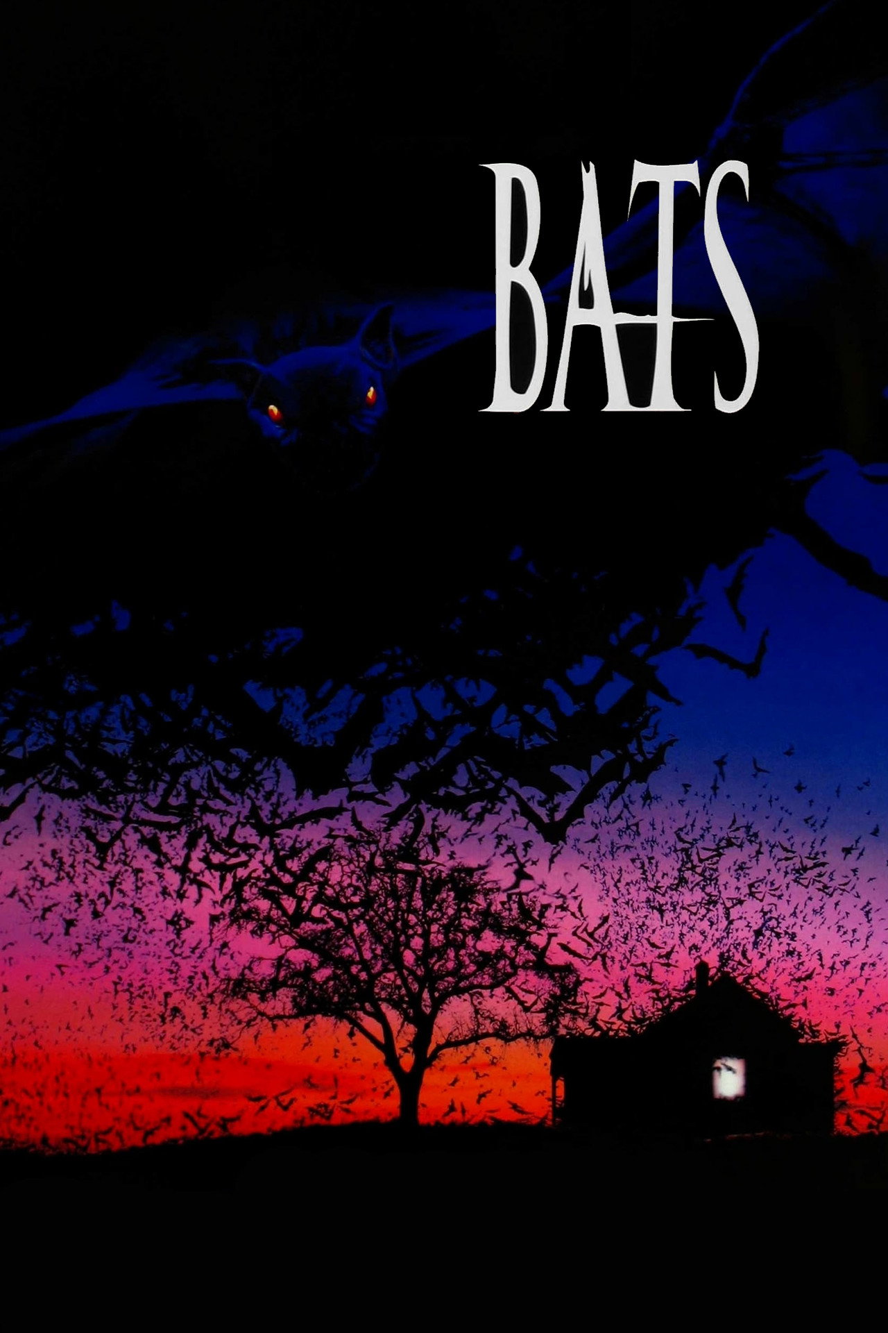 Pôster de Bats