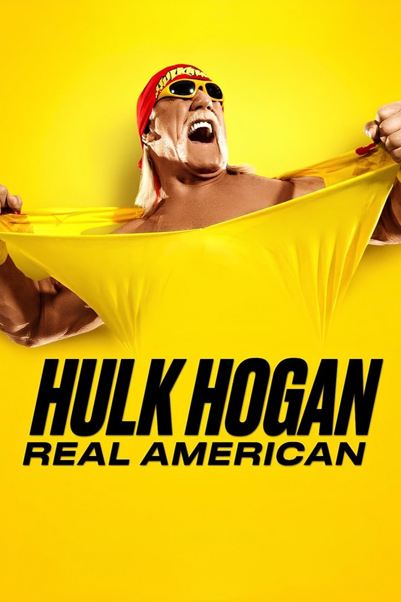 Pôster de Hulk Hogan: O Lutador