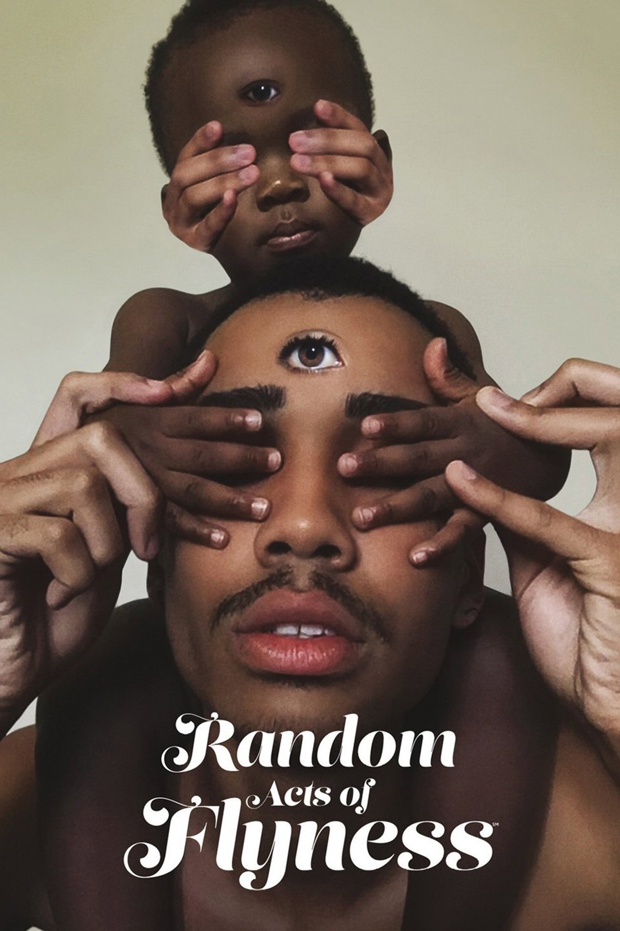 Pôster de Random Acts of Flyness
