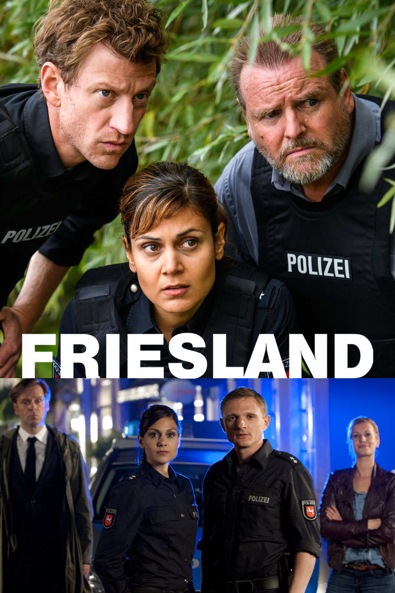 Pôster de Friesland