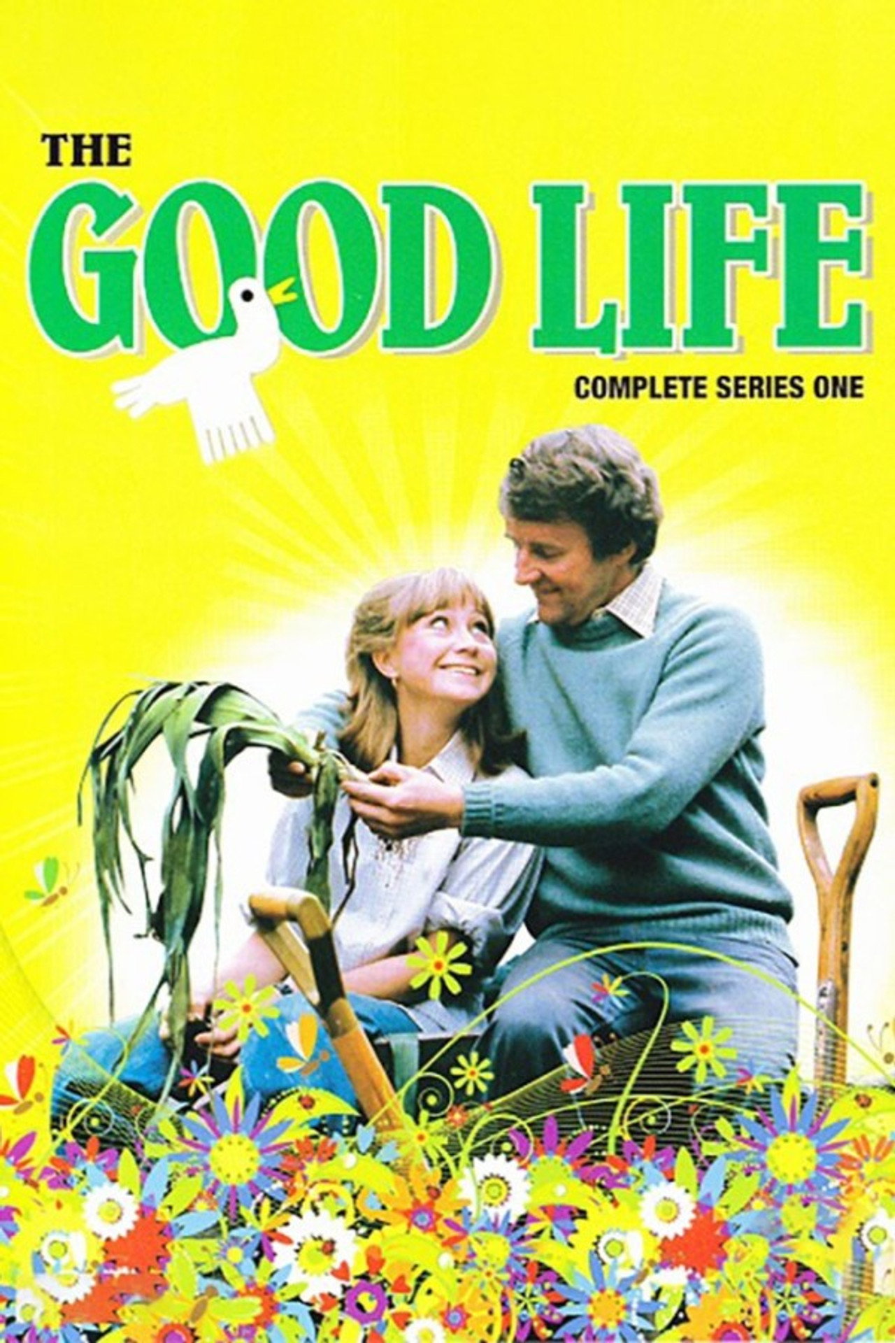 Pôster de The Good Life