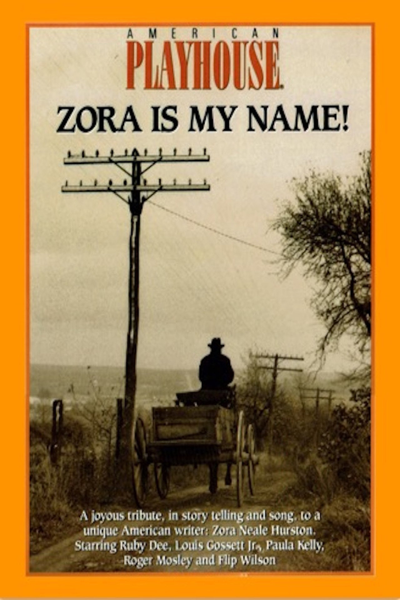 Pôster de Zora is My Name!