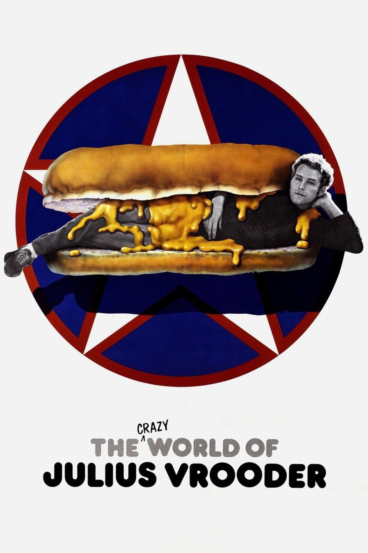 Pôster de The Crazy World of Julius Vrooder