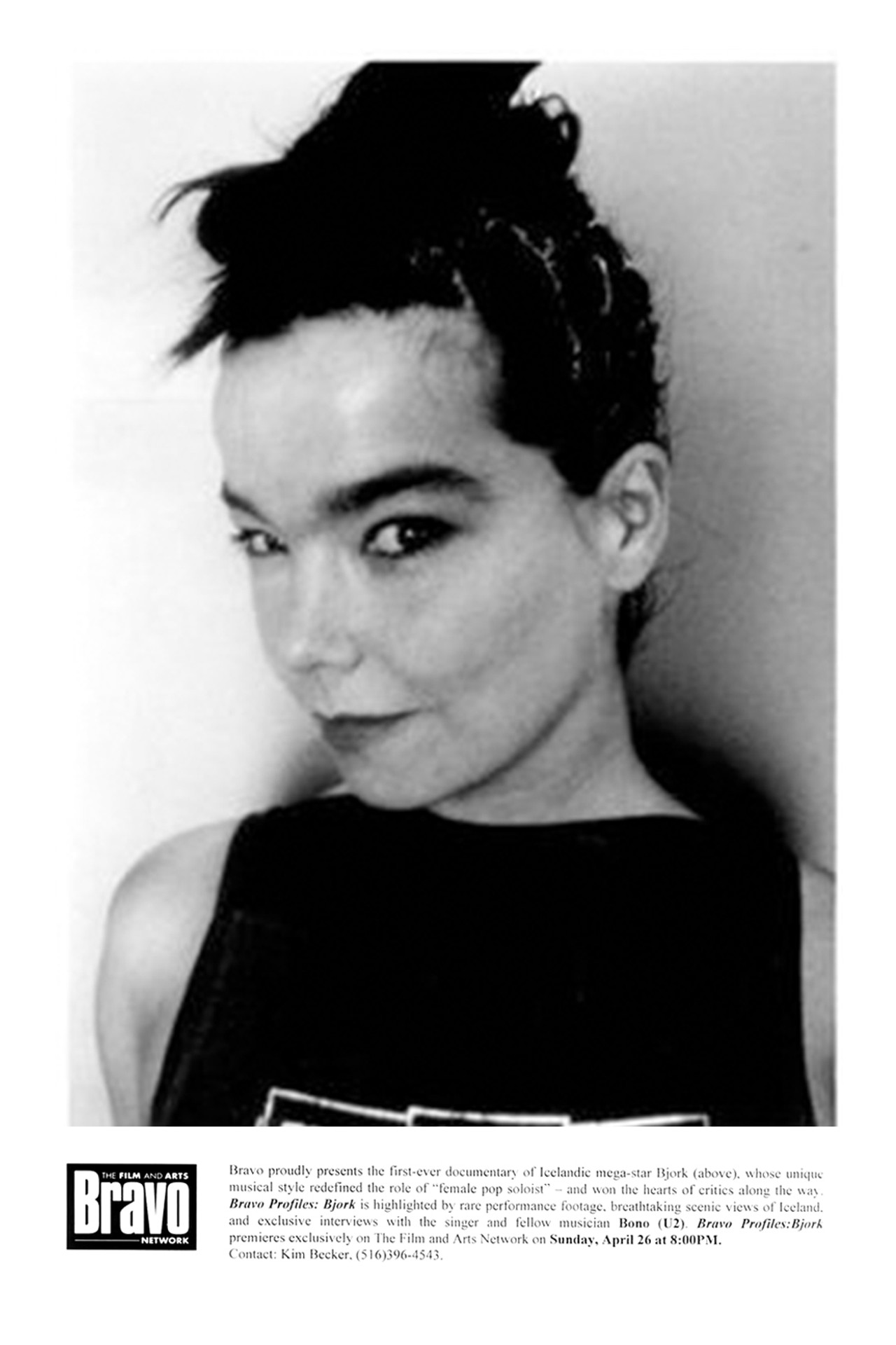 Pôster de Bravo Profiles: Björk