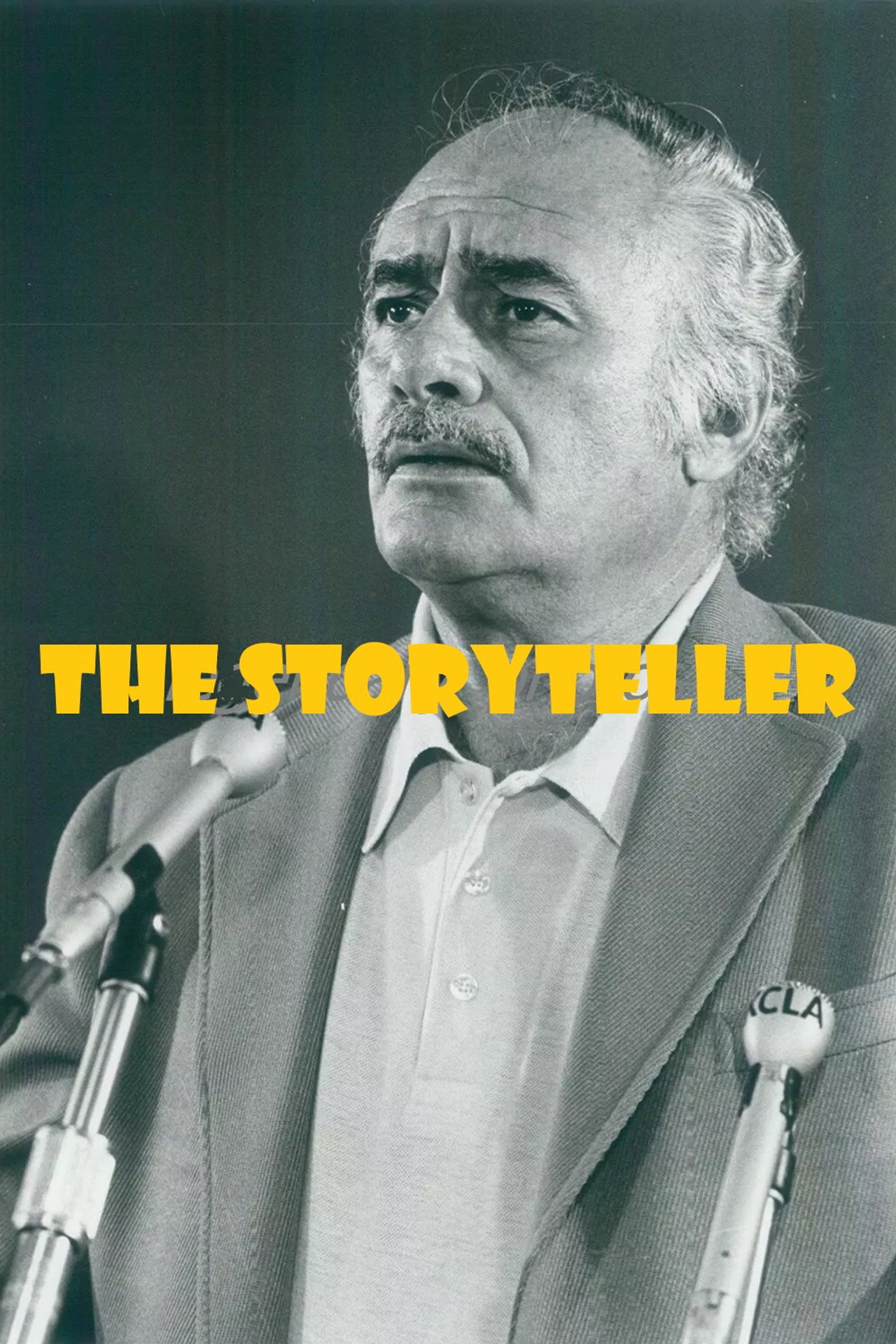 Pôster de The Storyteller