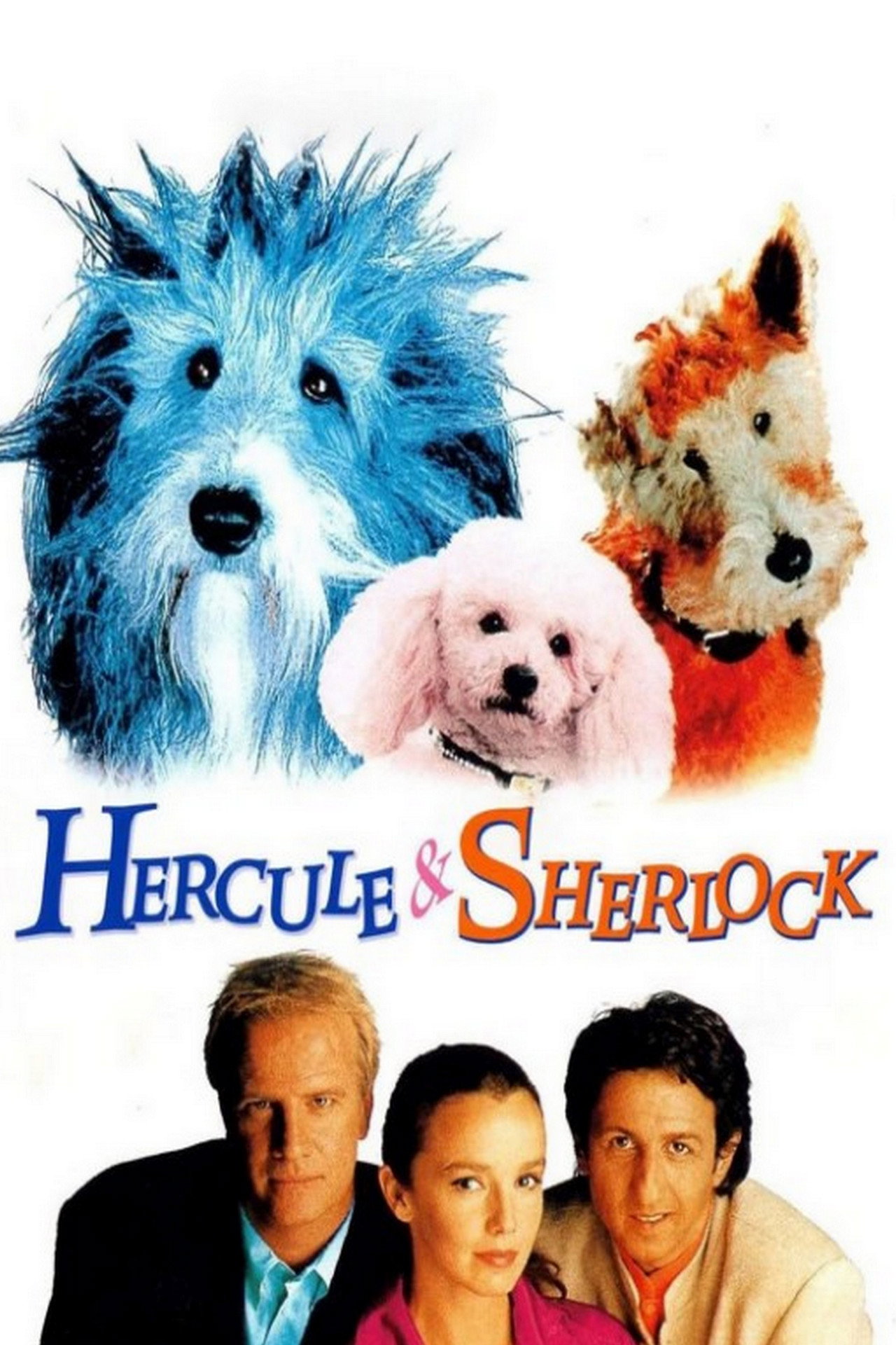 Pôster de Hercule and Sherlock
