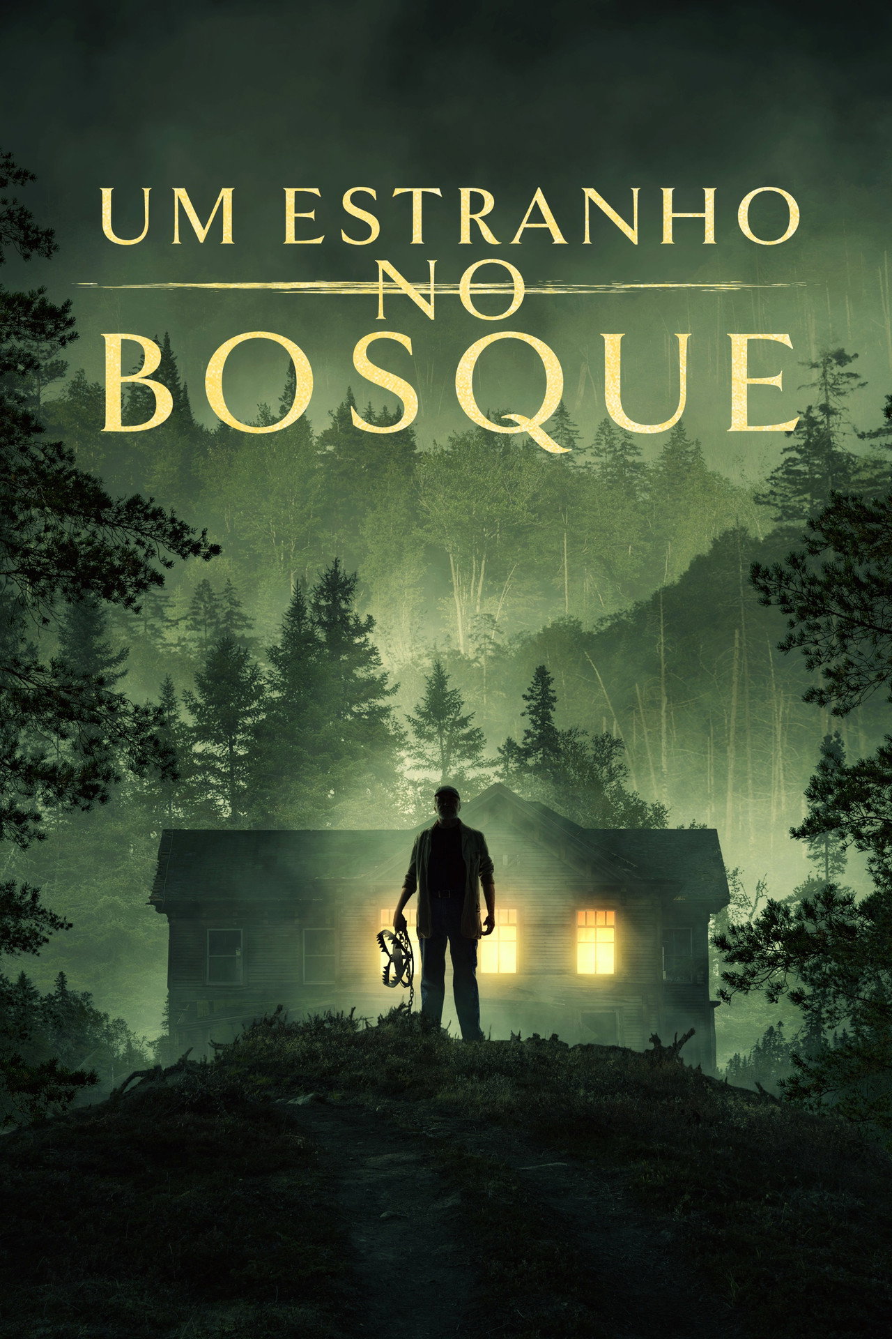 Pôster de Um Estranho no Bosque