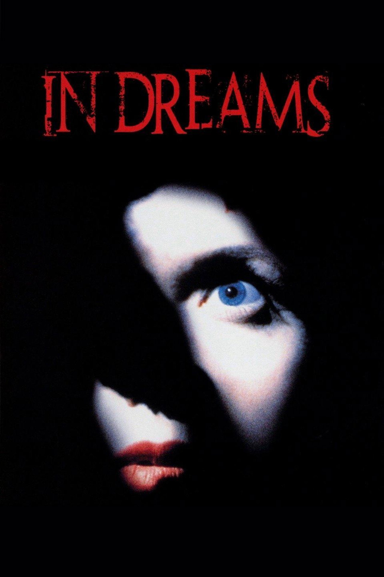 Pôster de In Dreams
