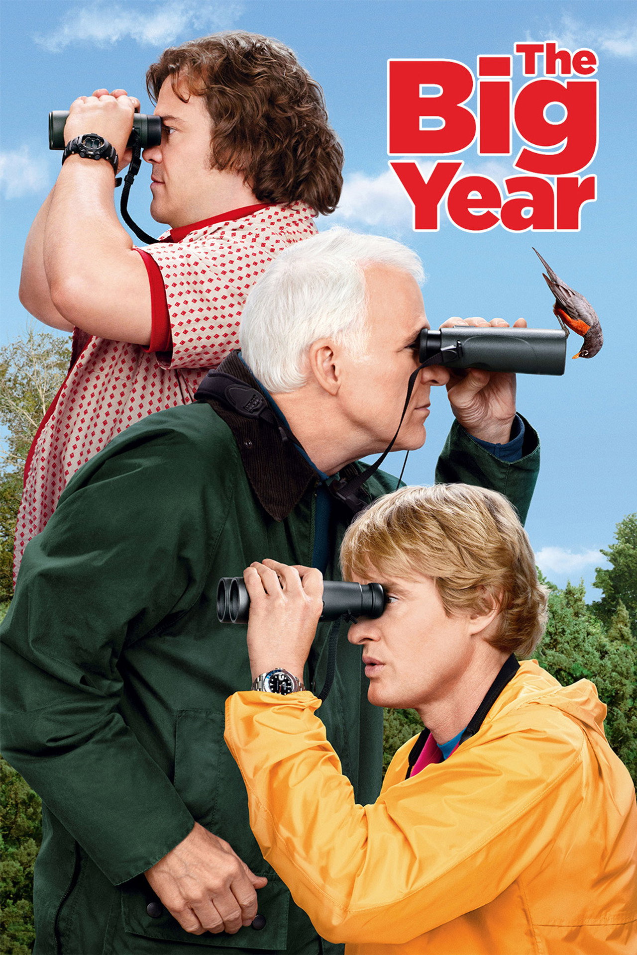 Pôster de The Big Year