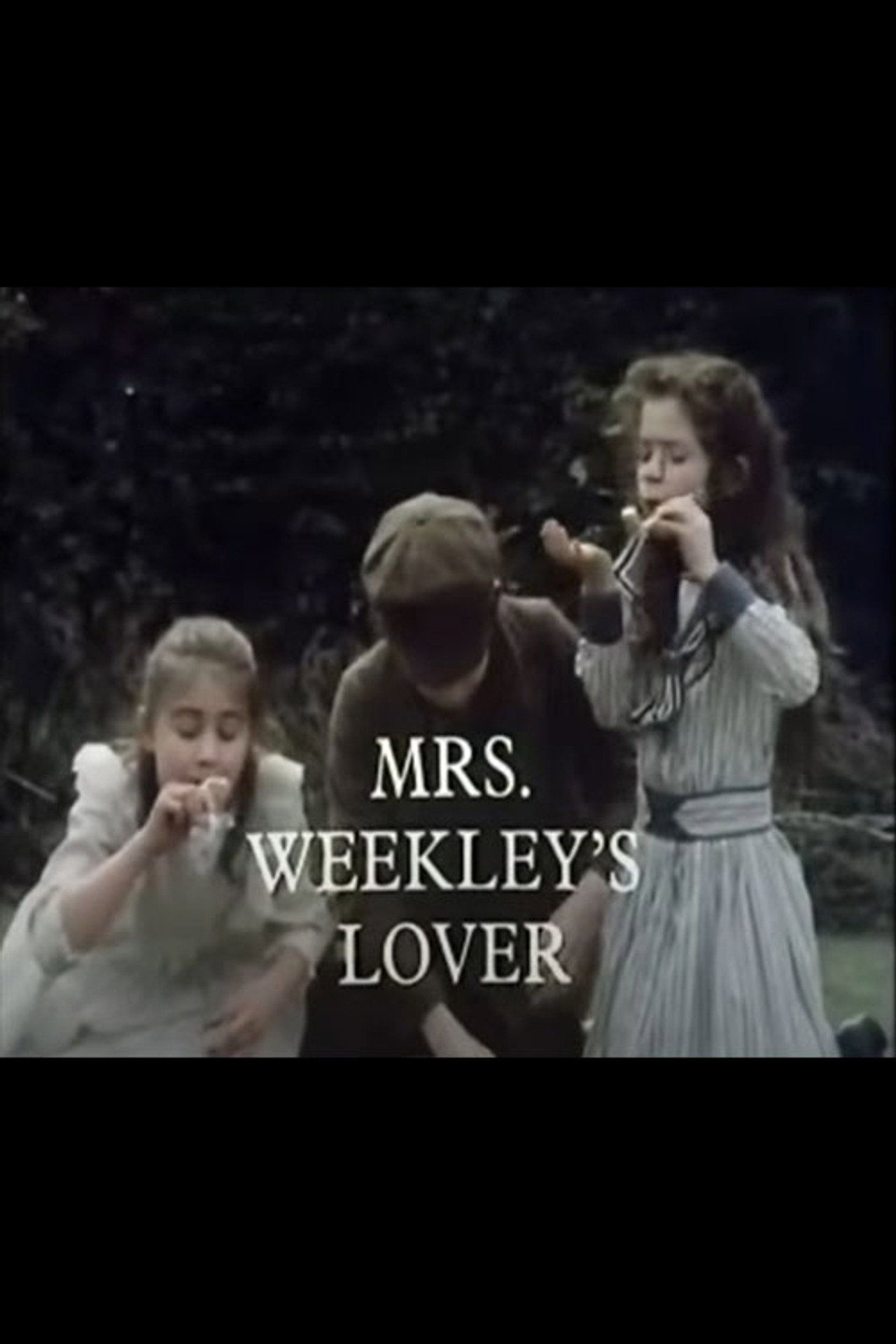 Pôster de Mrs. Weekley's Lover