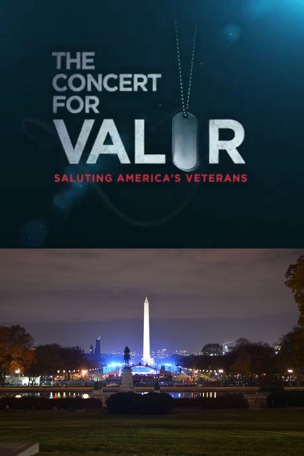 Pôster de The Concert for Valor