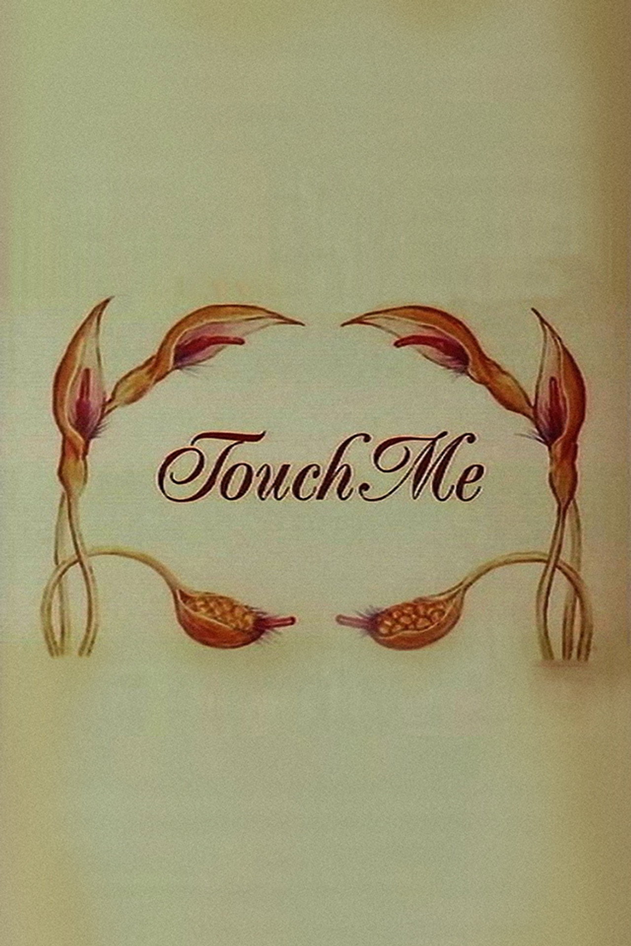 Pôster de Touch Me
