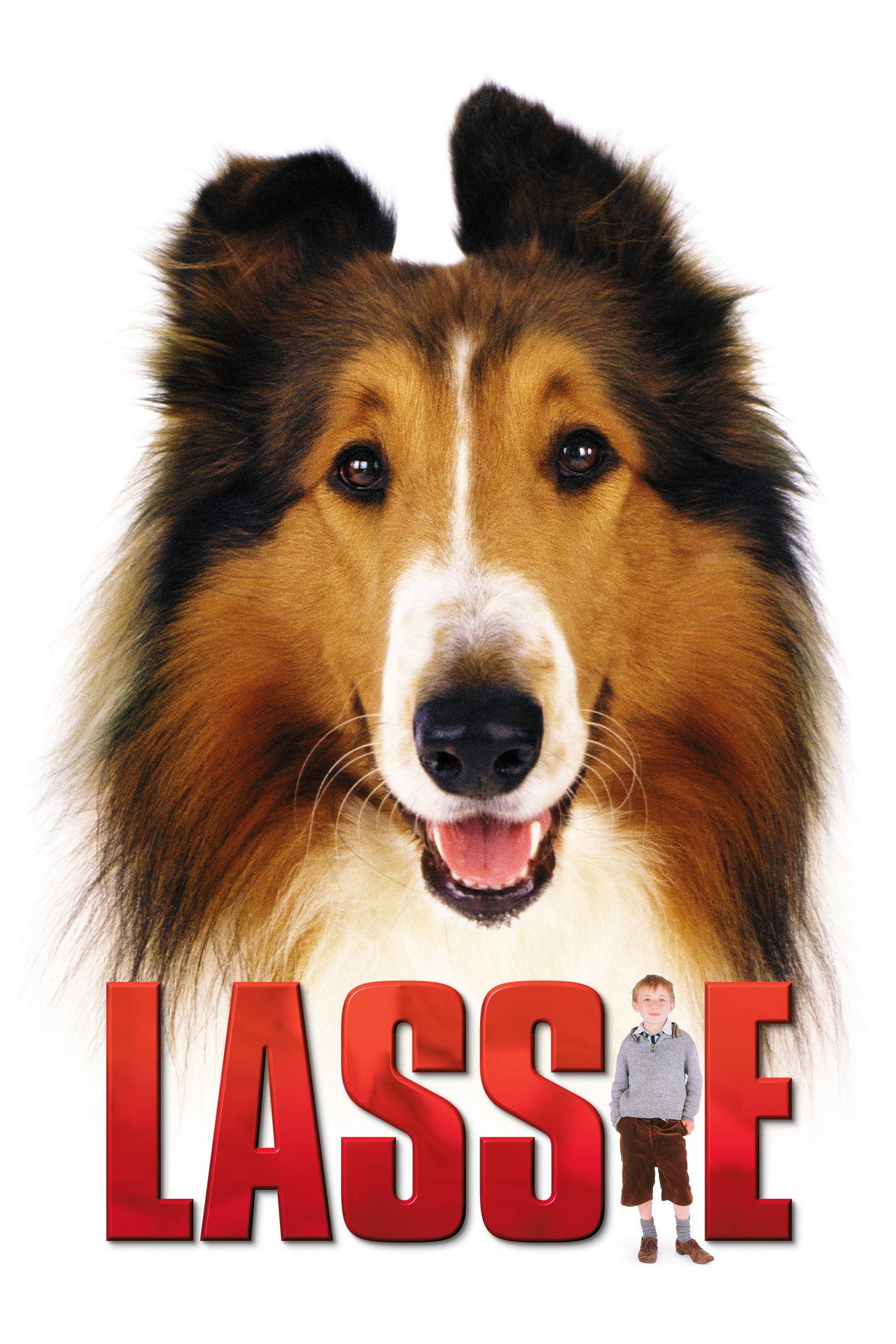 Pôster de Lassie
