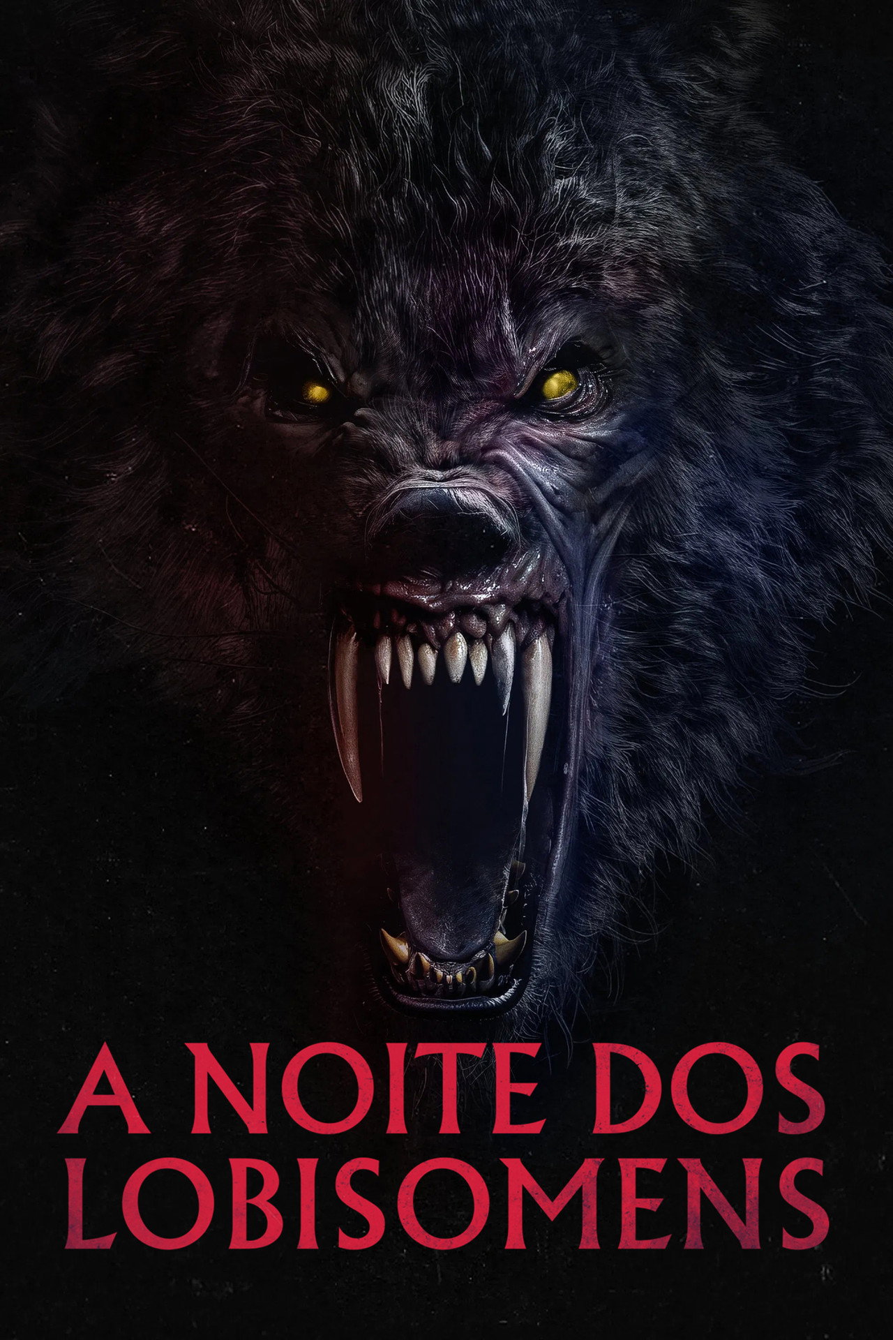 Pôster de A Noite dos Lobisomens