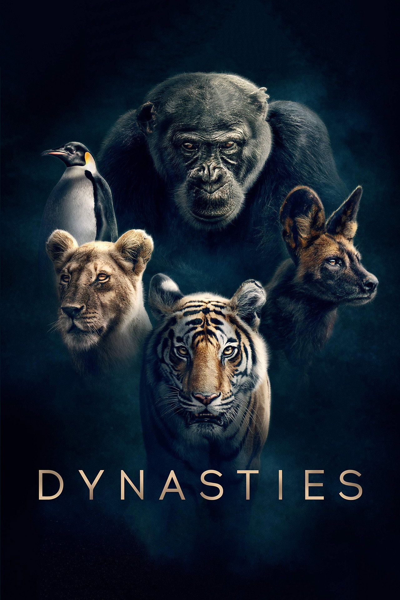 Pôster de Dynasties