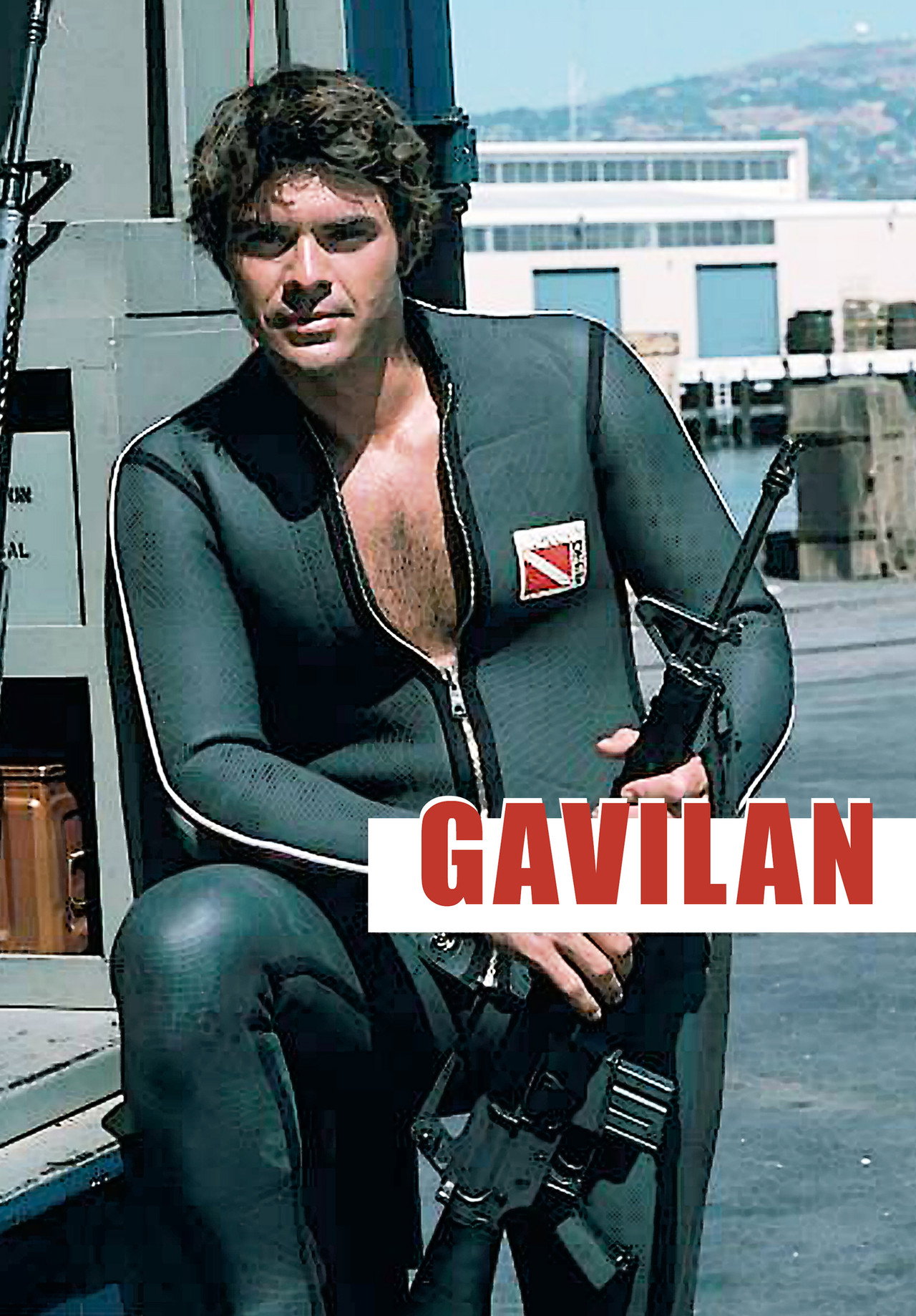 Pôster de Gavilan