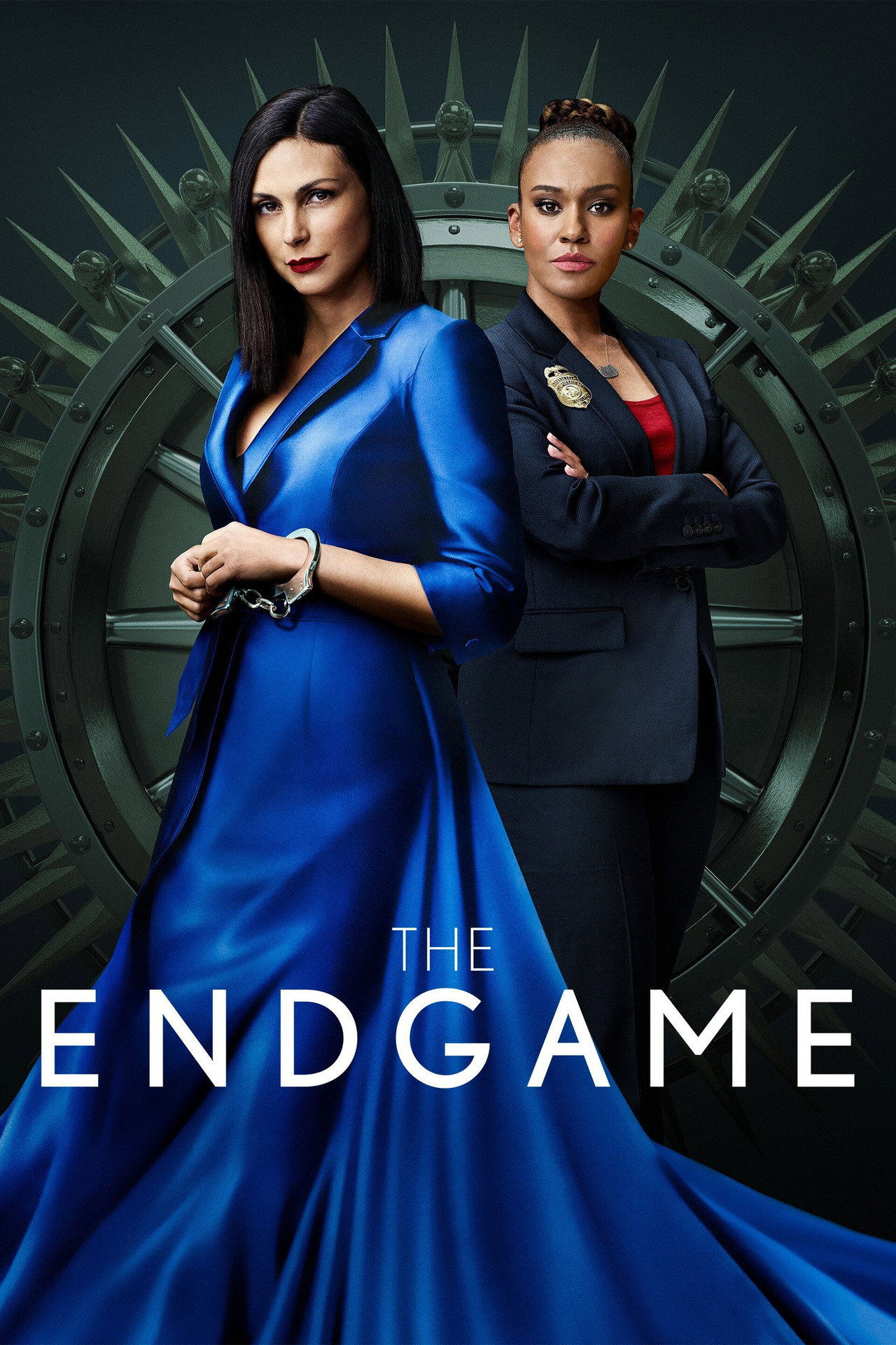Pôster de The Endgame