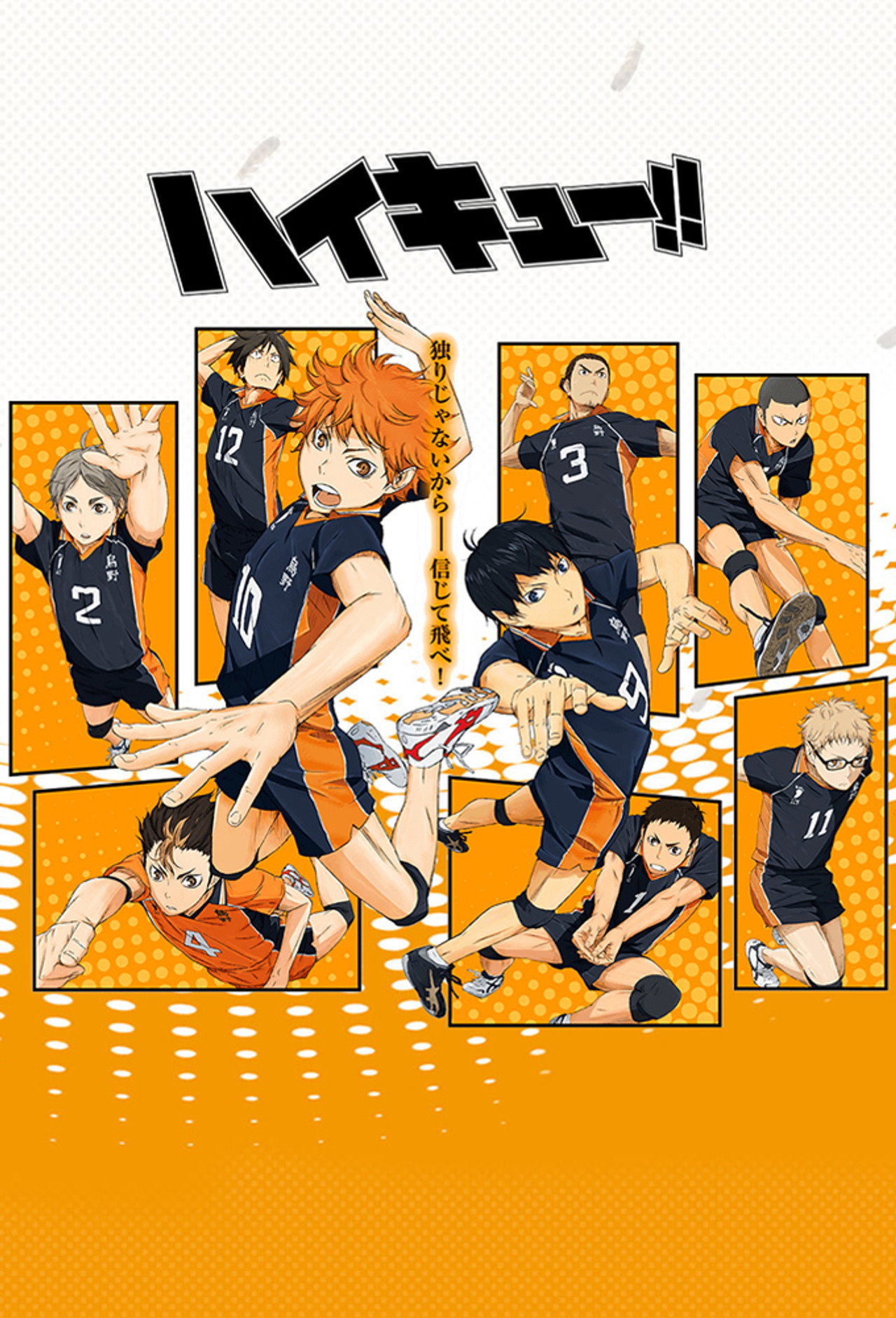 Pôster de HAIKYU!!