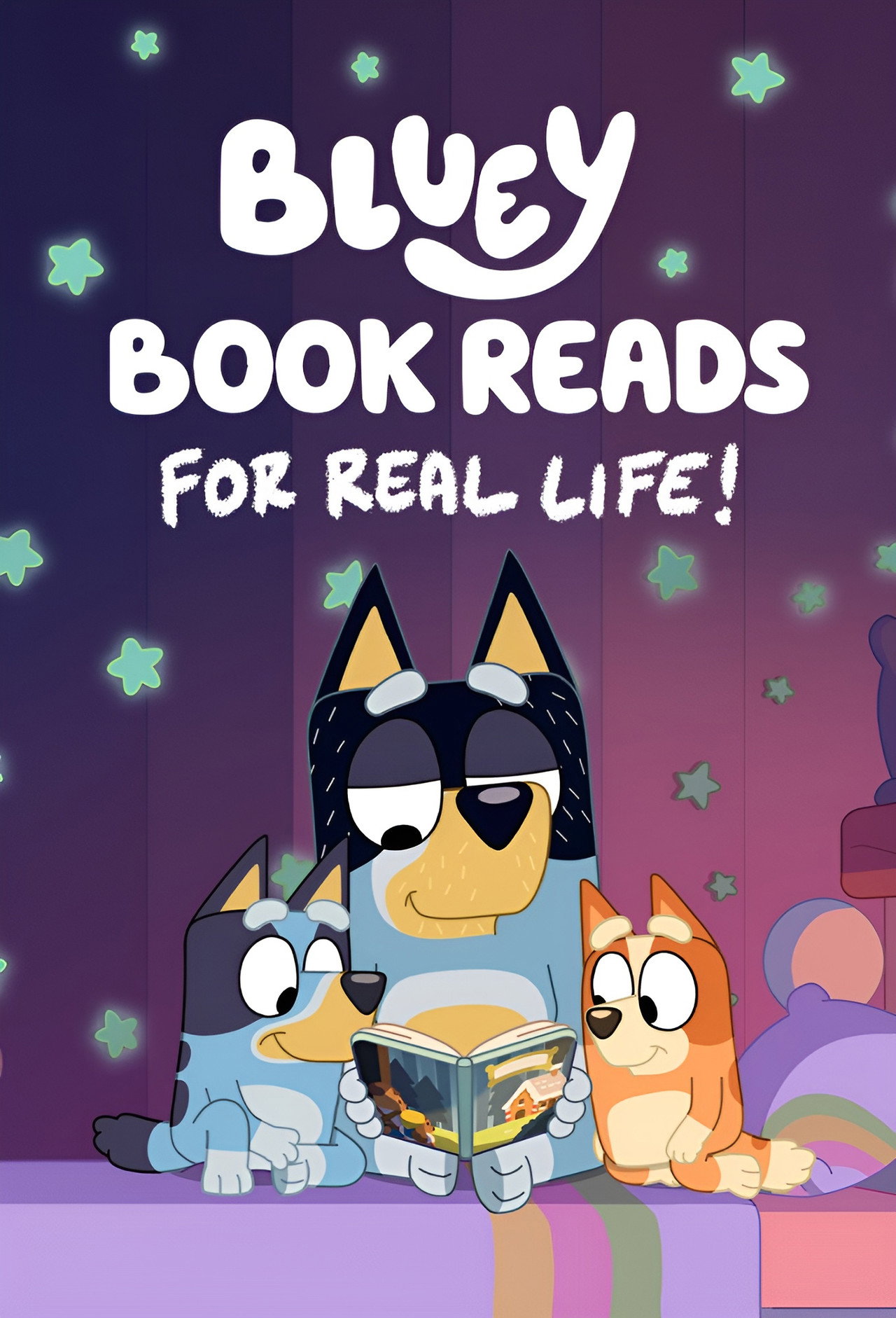 Pôster de Bluey Book Reads