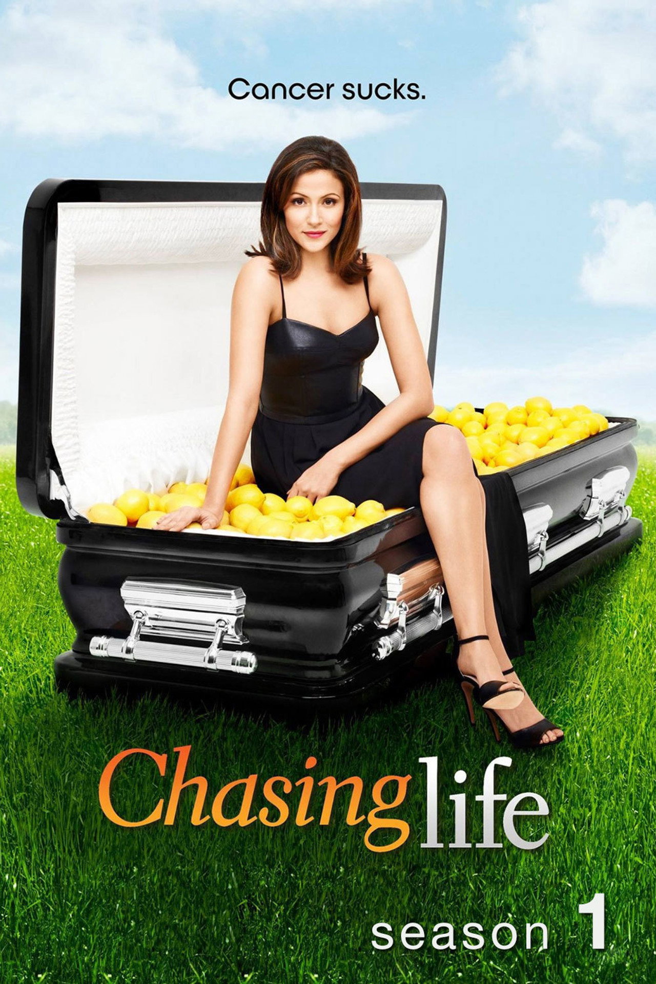Pôster de Chasing Life
