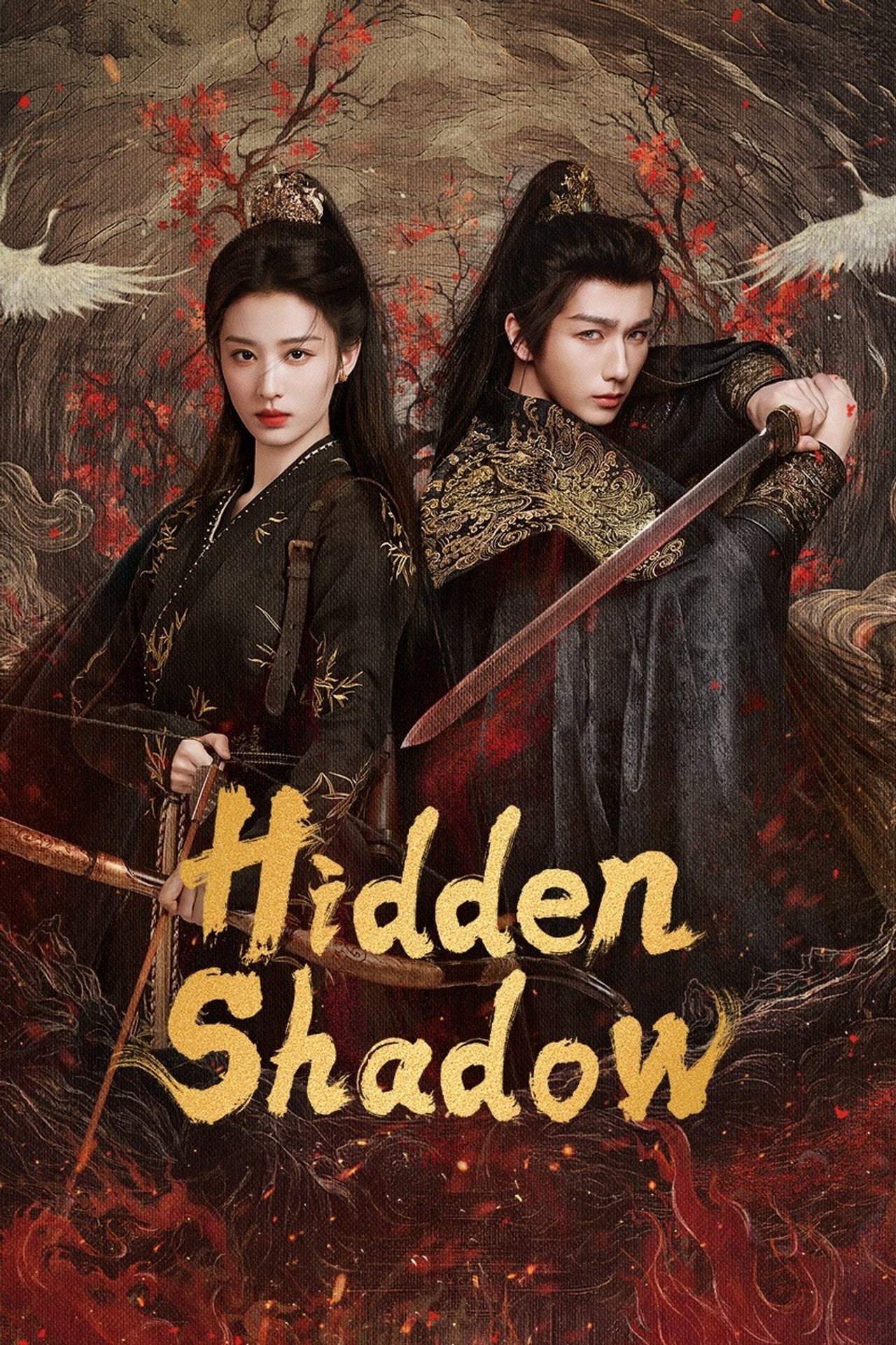 Pôster de Hidden Shadow