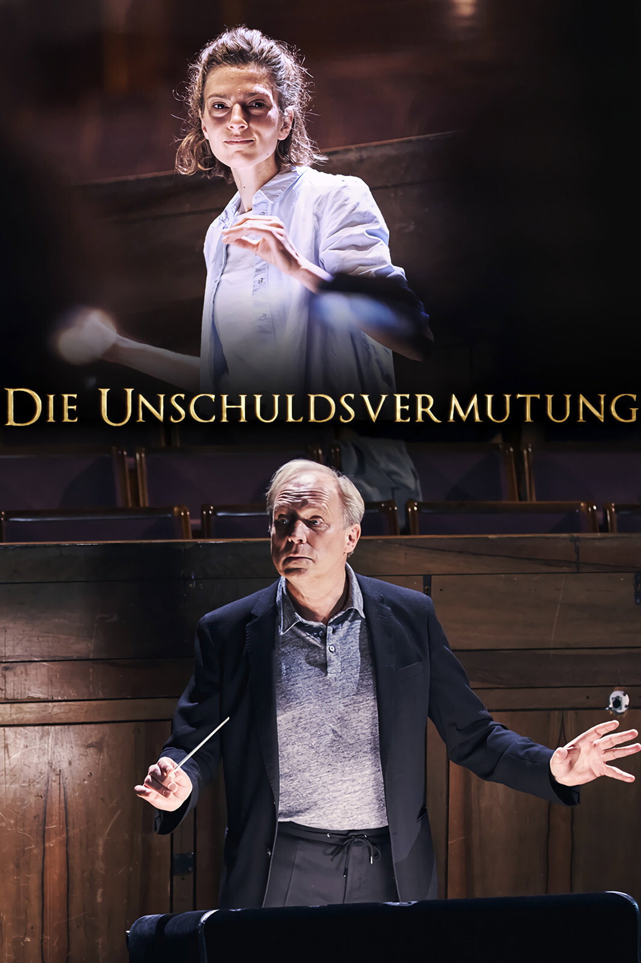 Pôster de Die Unschuldsvermutung