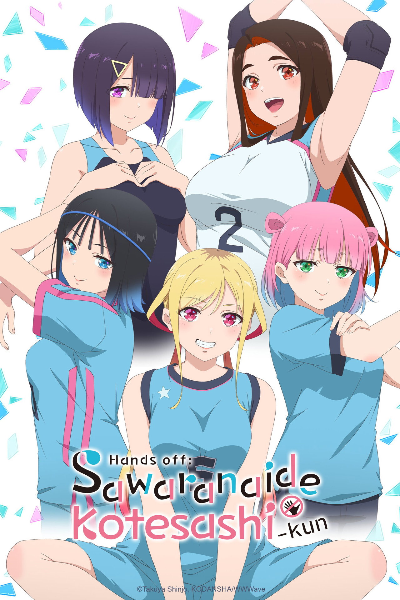 Pôster de Hands off: Sawaranaide Kotesashi-kun