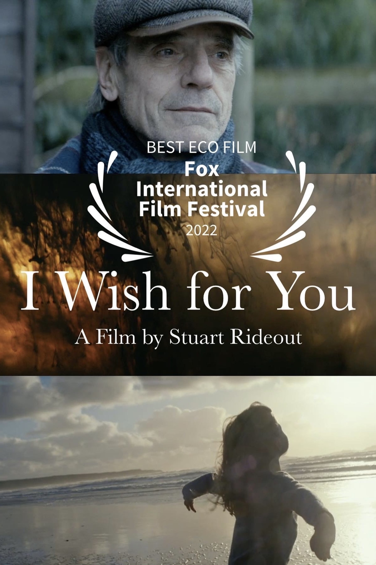 Pôster de I Wish For You