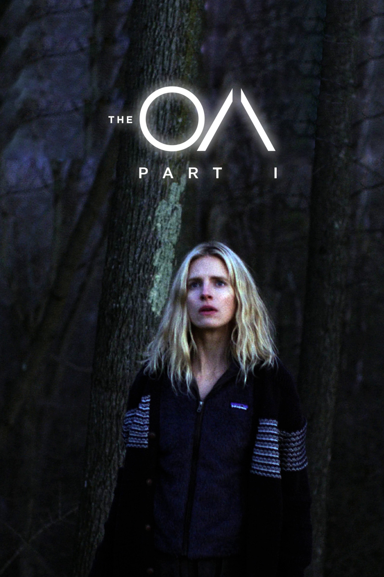 Pôster de The OA