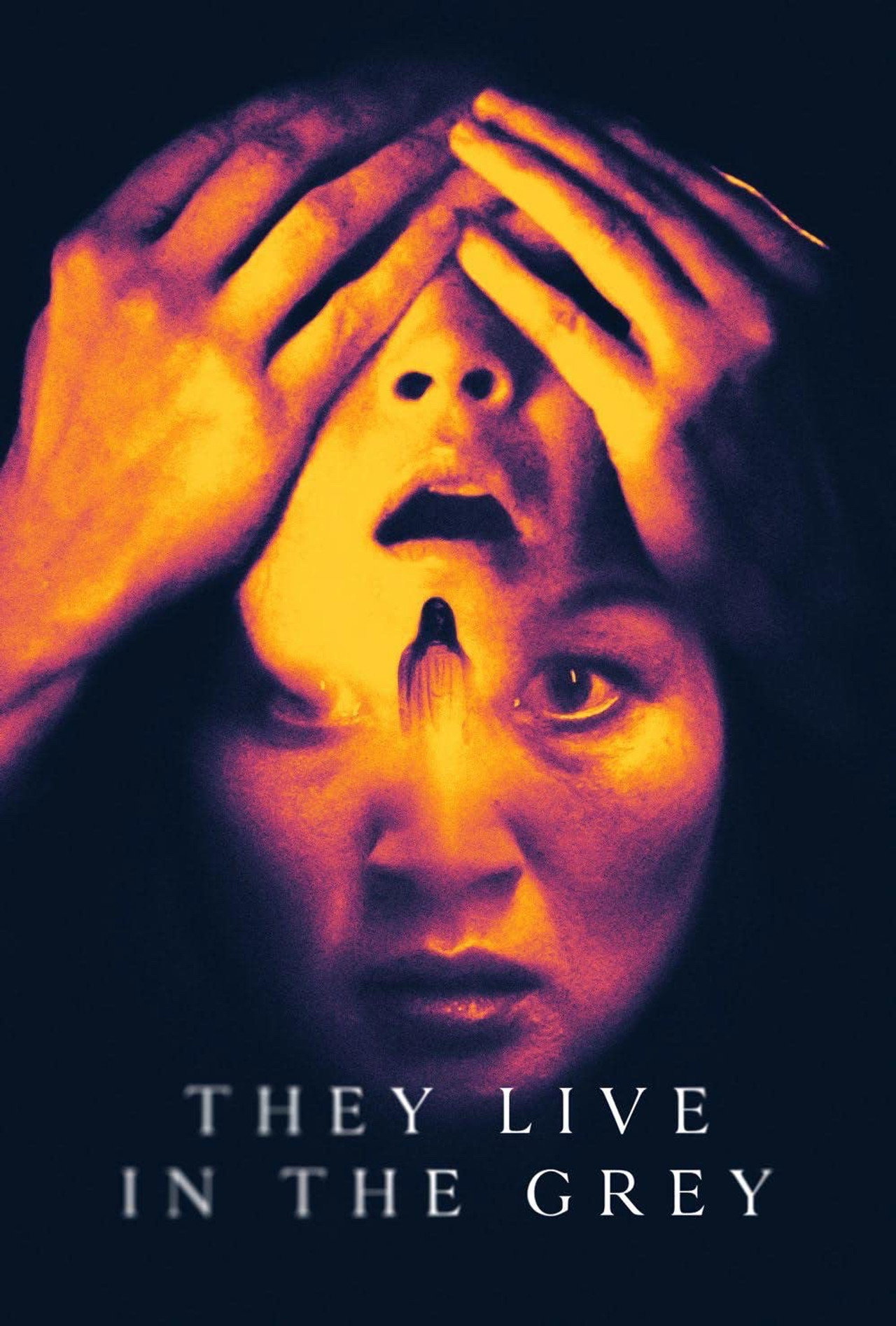 Pôster de They Live in the Grey