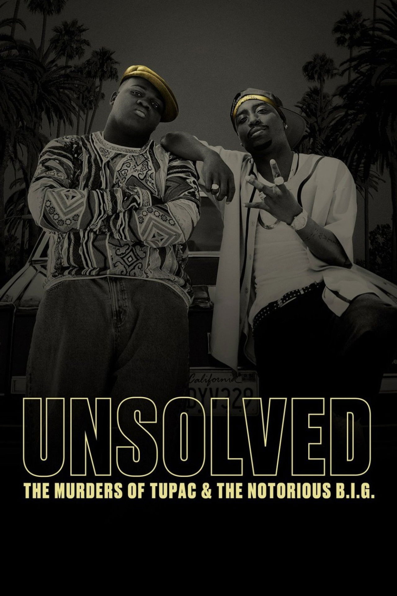 Pôster de Unsolved
