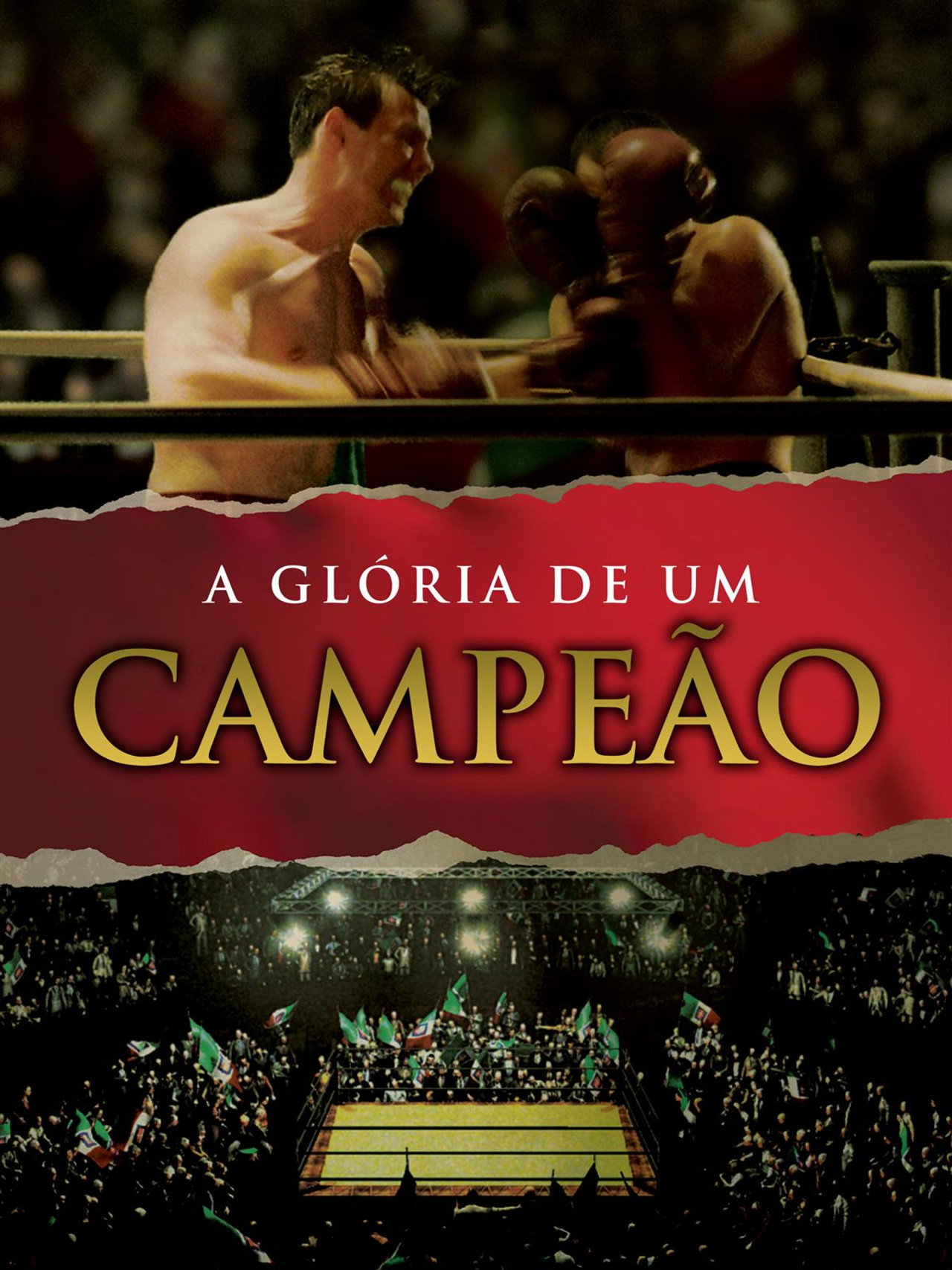 Pôster de A Glória de um Campeão