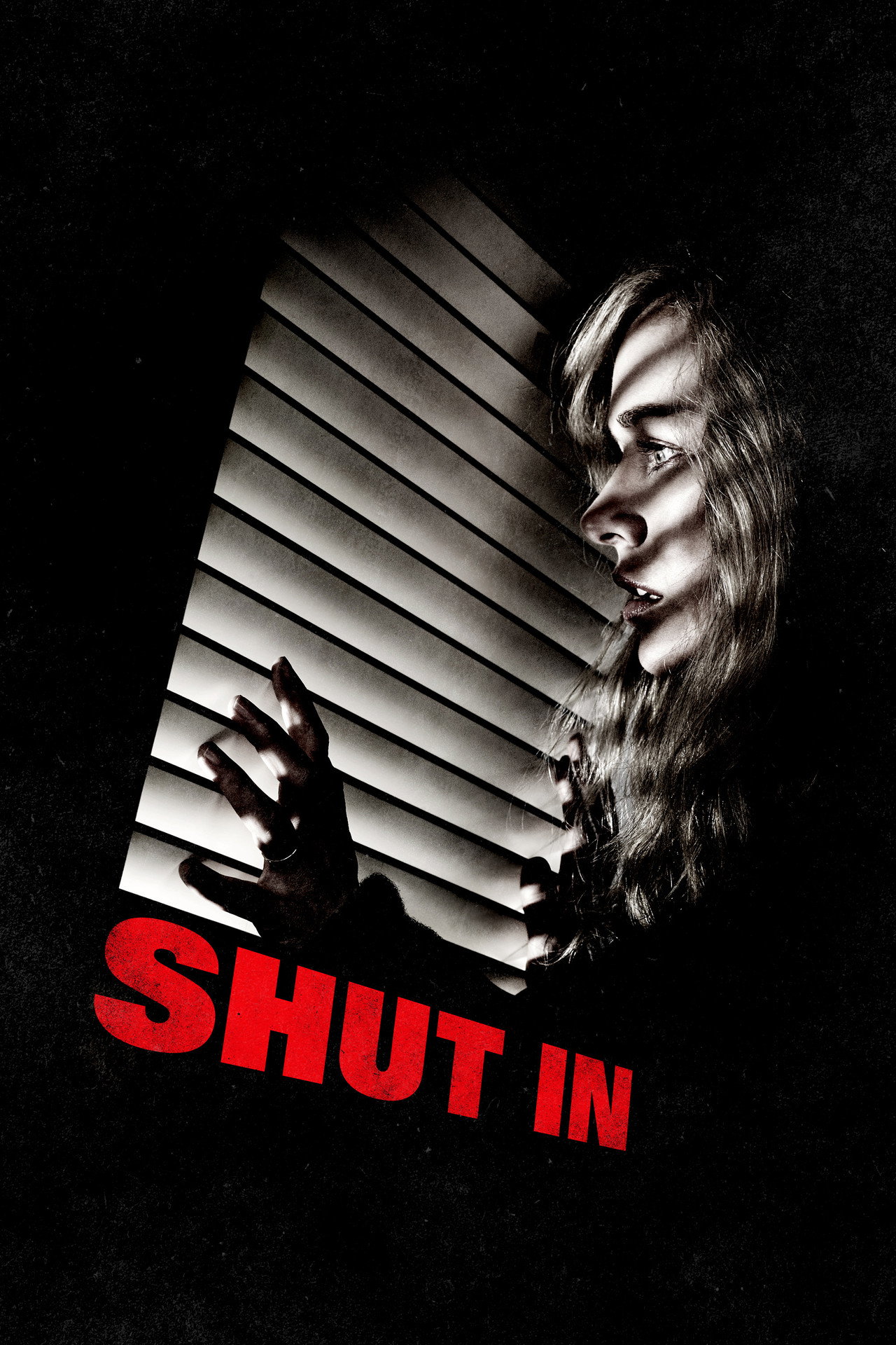 Pôster de Shut In
