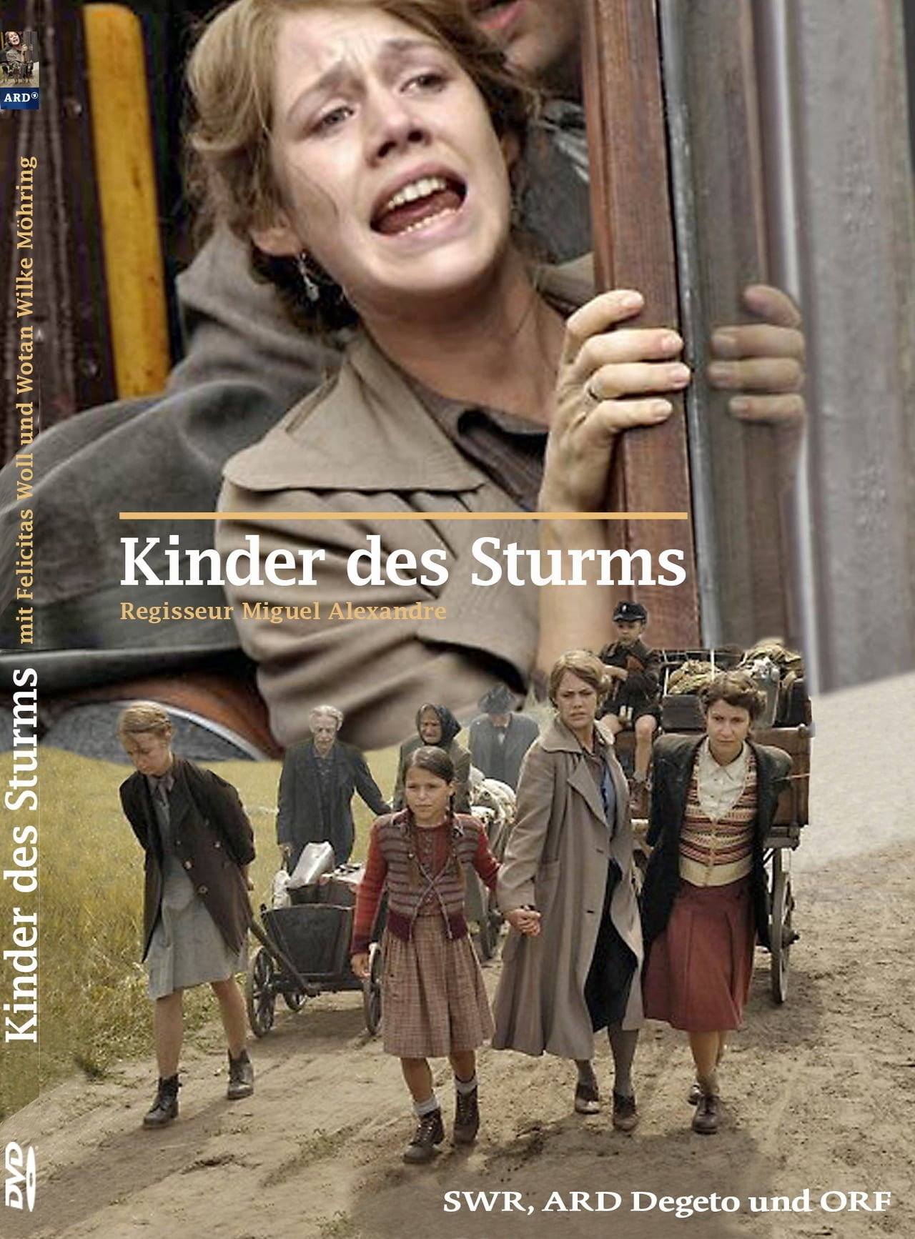 Pôster de Kinder des Sturms