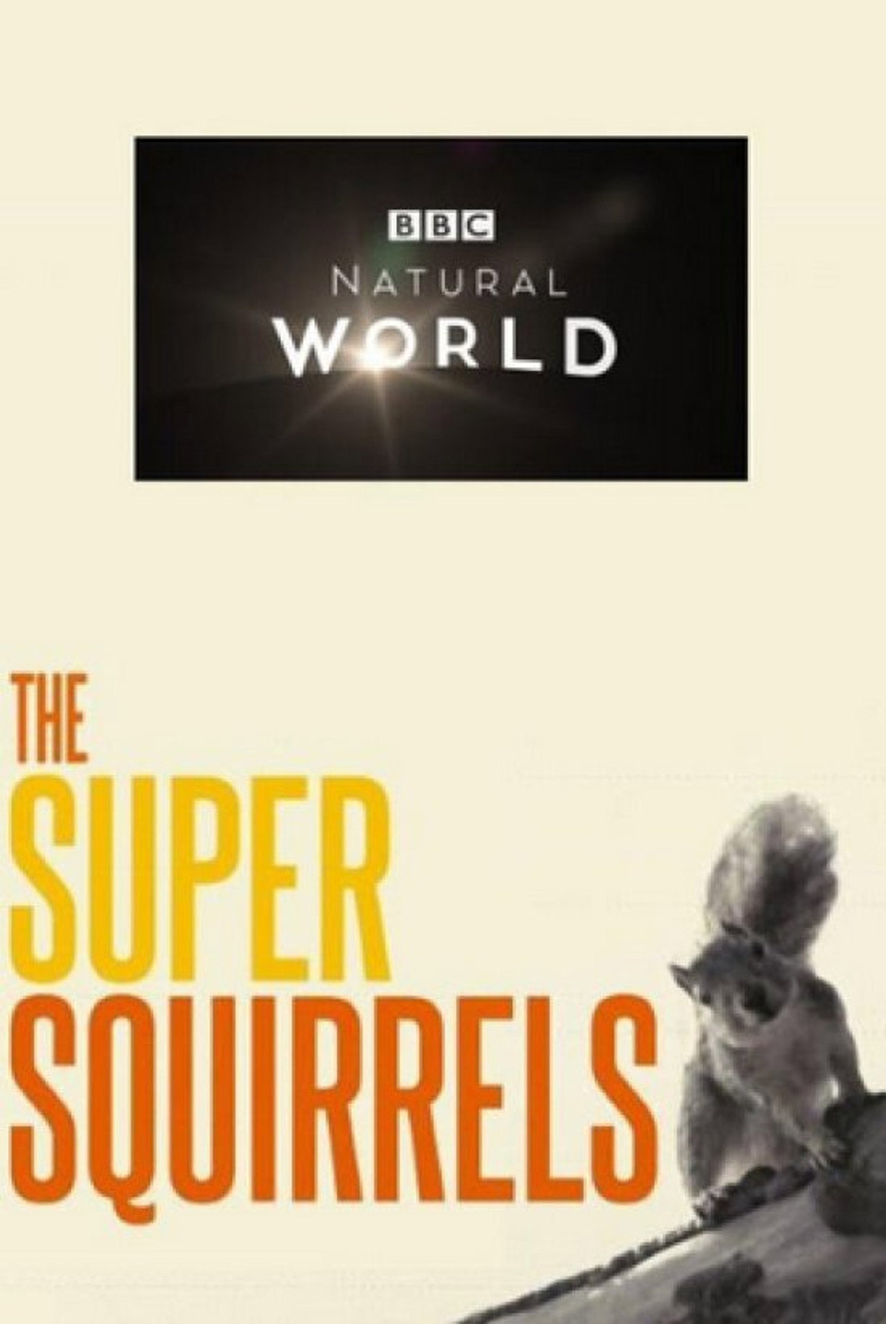 Pôster de The Super Squirrels