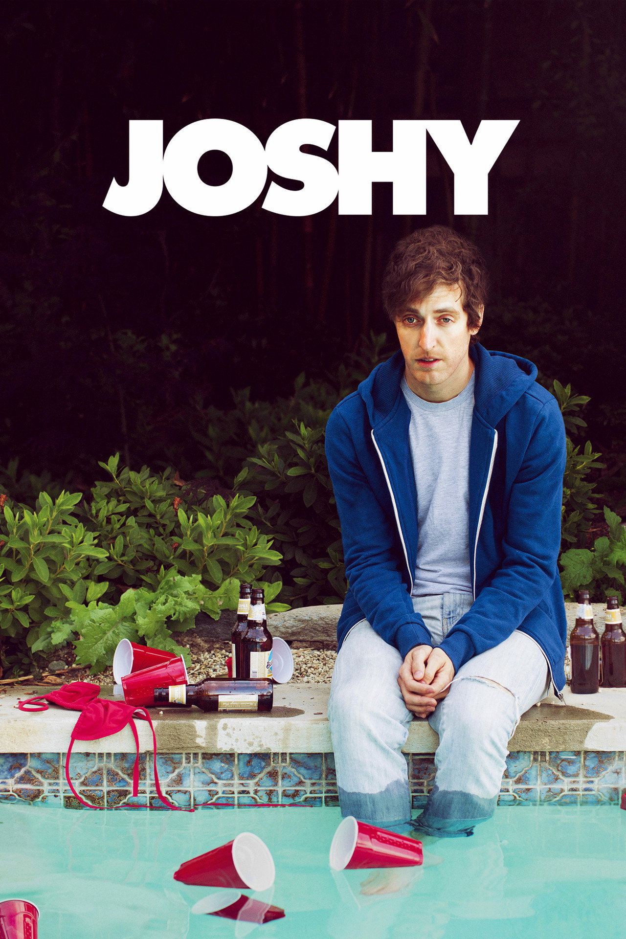 Pôster de Joshy